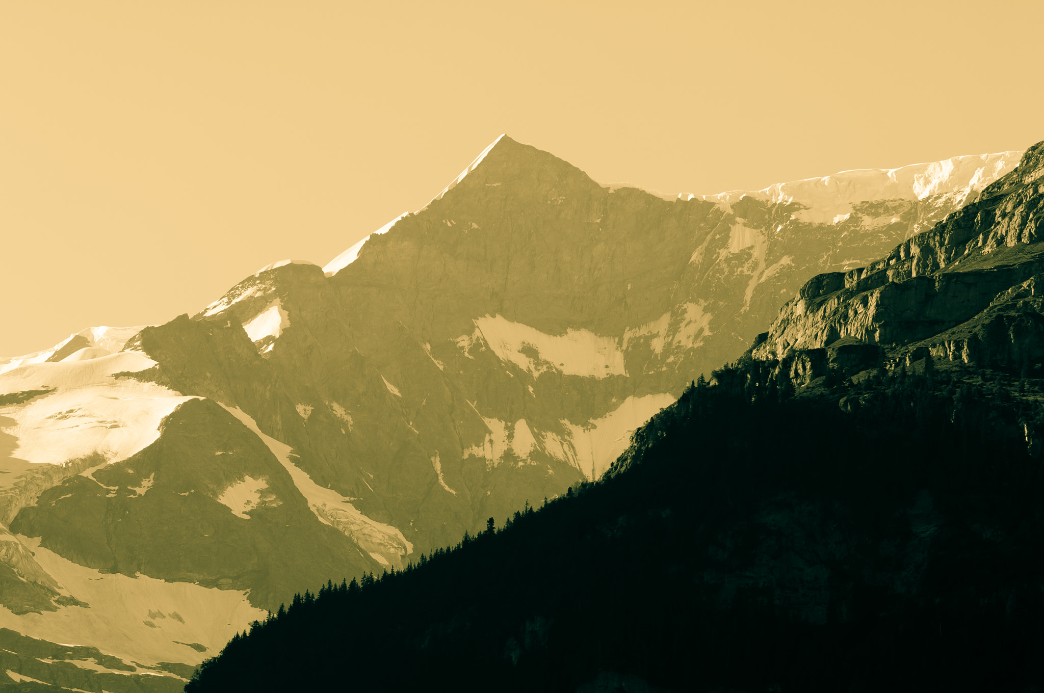 Nikon D2X sample photo. Summer in the swiss mountains - bernese alps photography