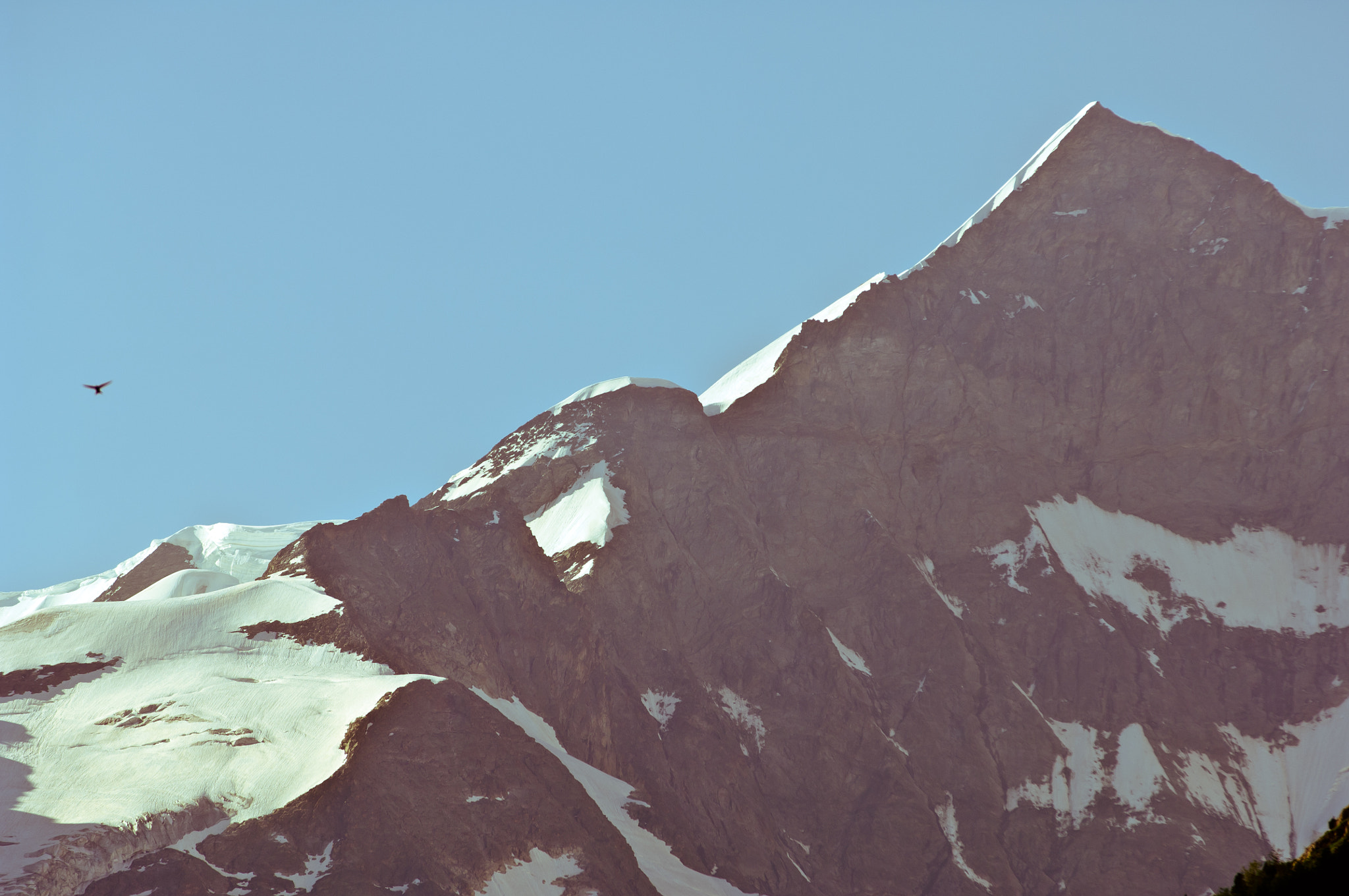 Nikon D2X sample photo. Summer in the swiss mountains - bernese alps photography