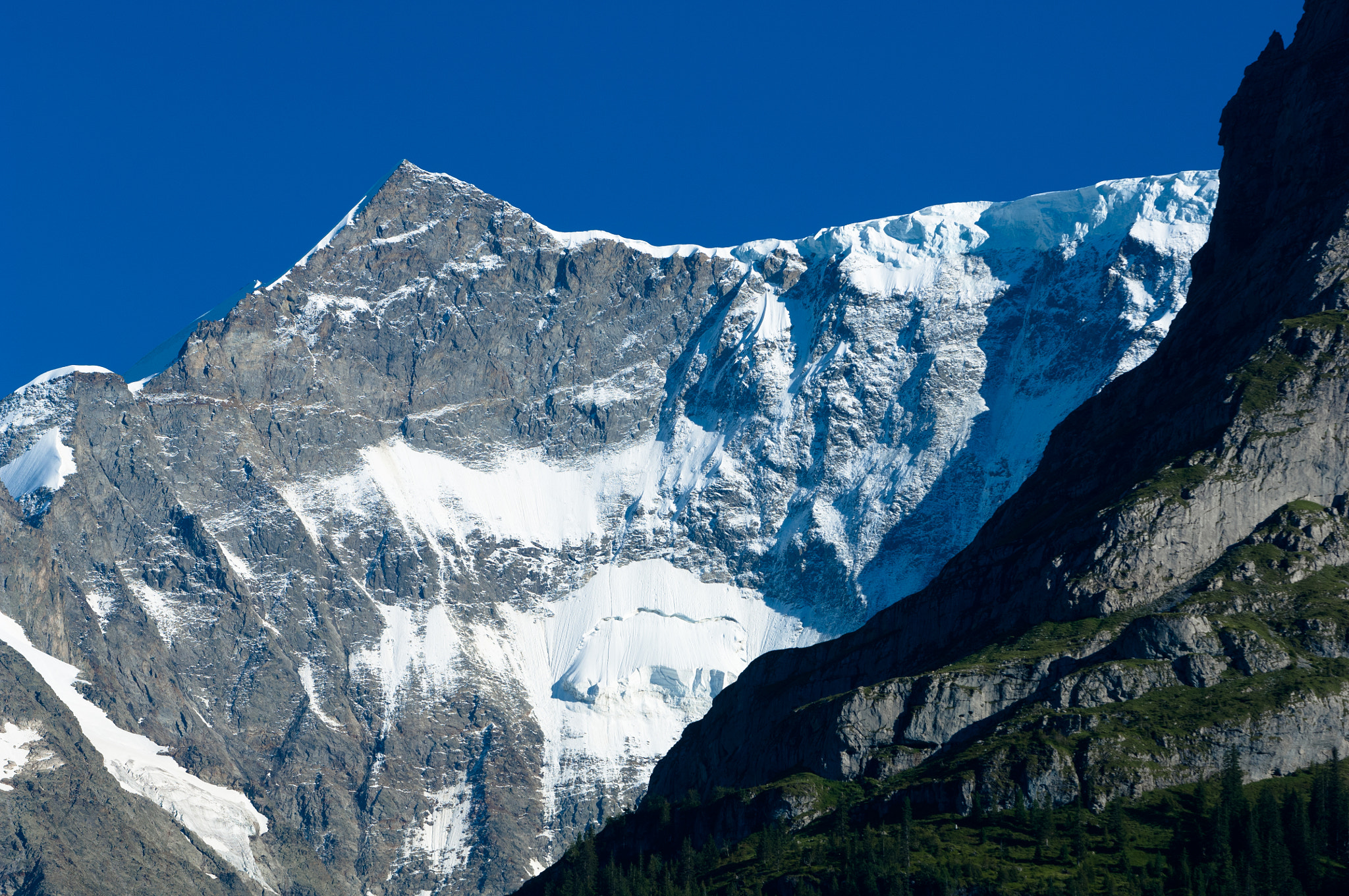 Nikon D2X sample photo. Summer in the swiss mountains - bernese alps photography