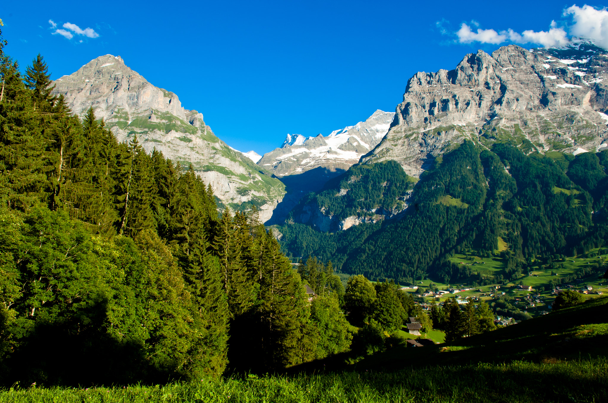 Nikon D2X + Nikon AF-S DX Nikkor 17-55mm F2.8G ED-IF sample photo. Summer in the swiss mountains - bernese alps photography