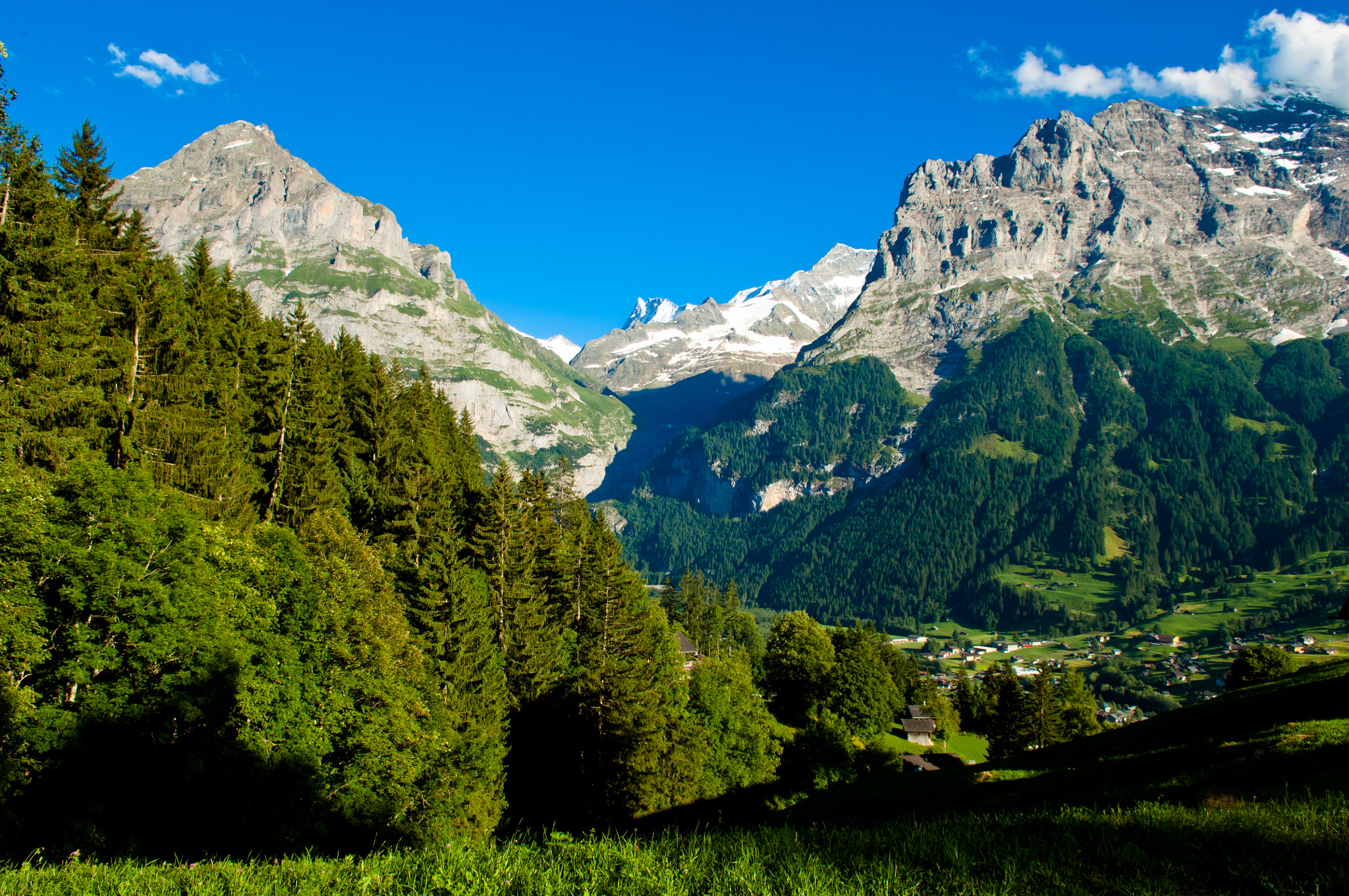 Nikon D2X sample photo. Summer in the swiss mountains - bernese alps photography