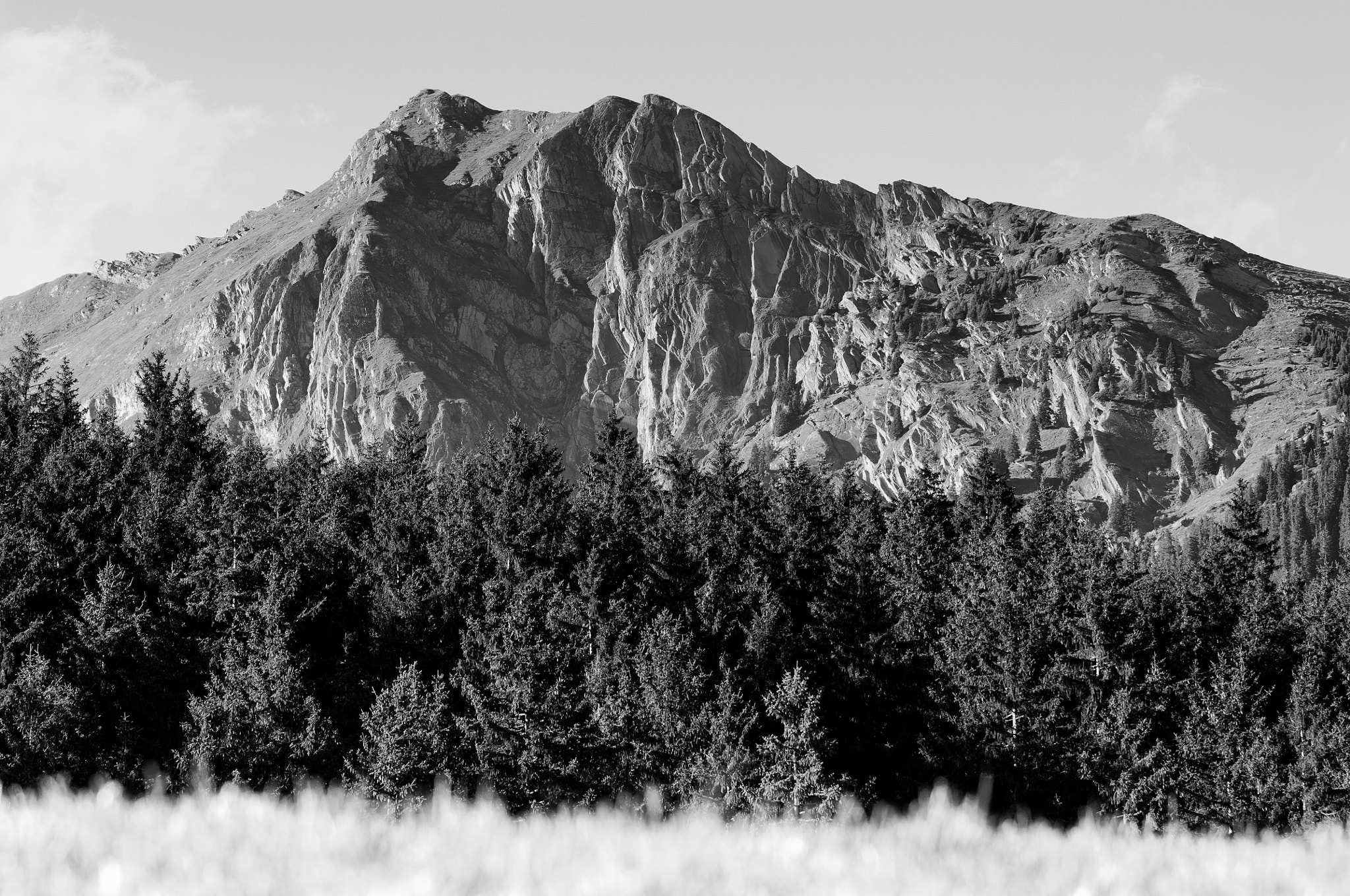 Nikon D2X sample photo. Summer in the swiss mountains - bernese alps photography