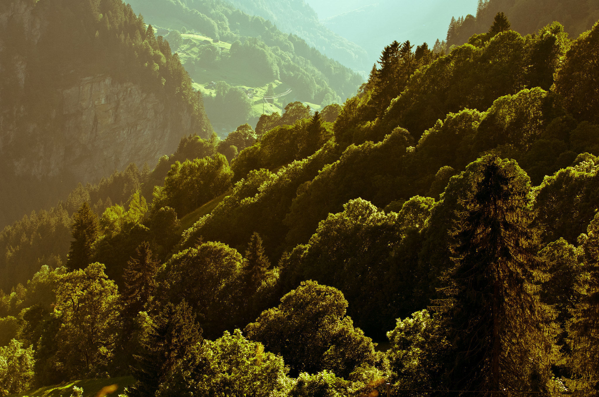Nikon D2X sample photo. Summer in the swiss mountains - bernese alps photography