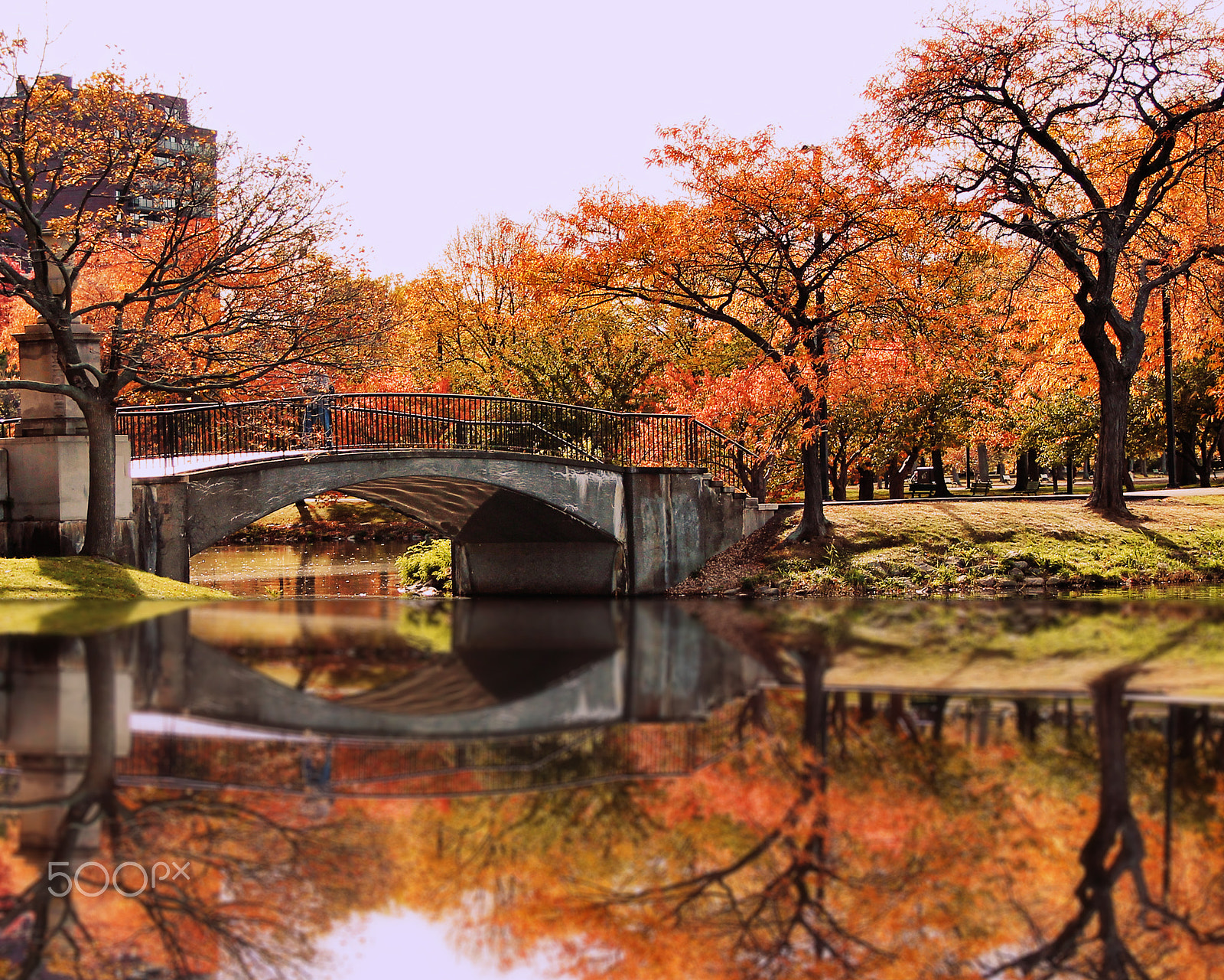Canon EOS 1100D (EOS Rebel T3 / EOS Kiss X50) sample photo. Autumn reflections in boston photography