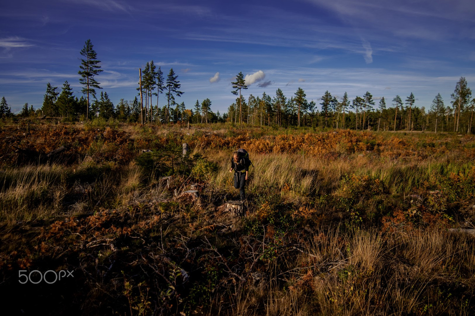 Pentax K-3 II + A Series Lens sample photo. Sörmlandsleden i photography