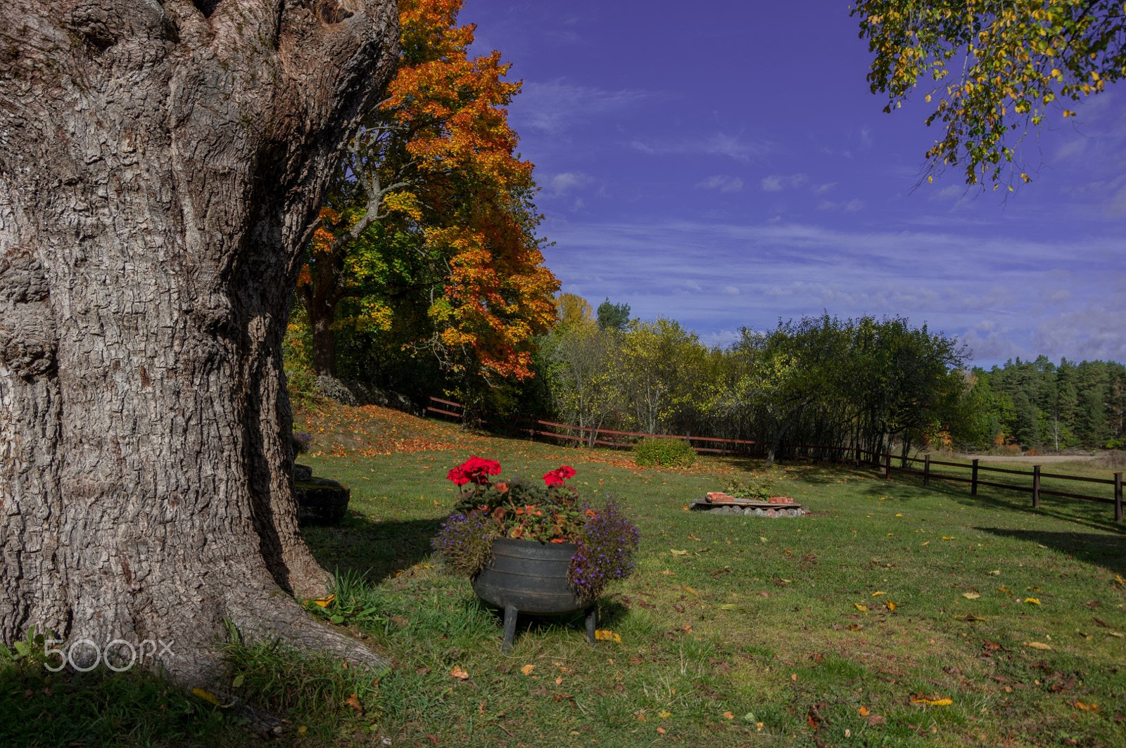 Pentax K-3 II sample photo. Beautiful autumn photography