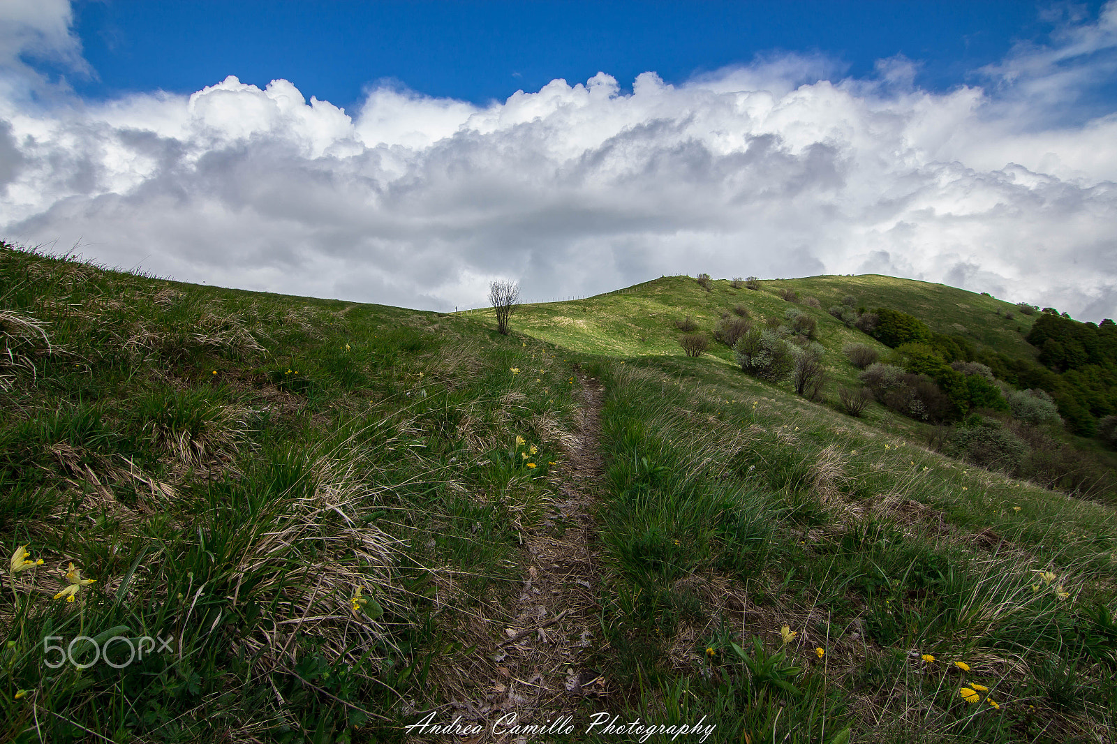 Canon EOS 650D (EOS Rebel T4i / EOS Kiss X6i) sample photo. Wooly clouds photography