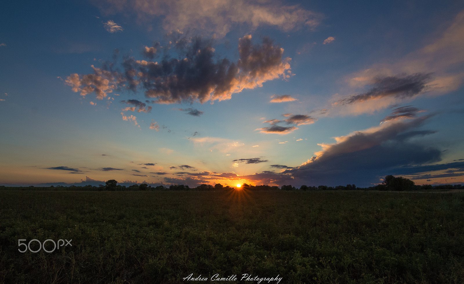 Canon EOS 650D (EOS Rebel T4i / EOS Kiss X6i) sample photo. Summer sunset photography