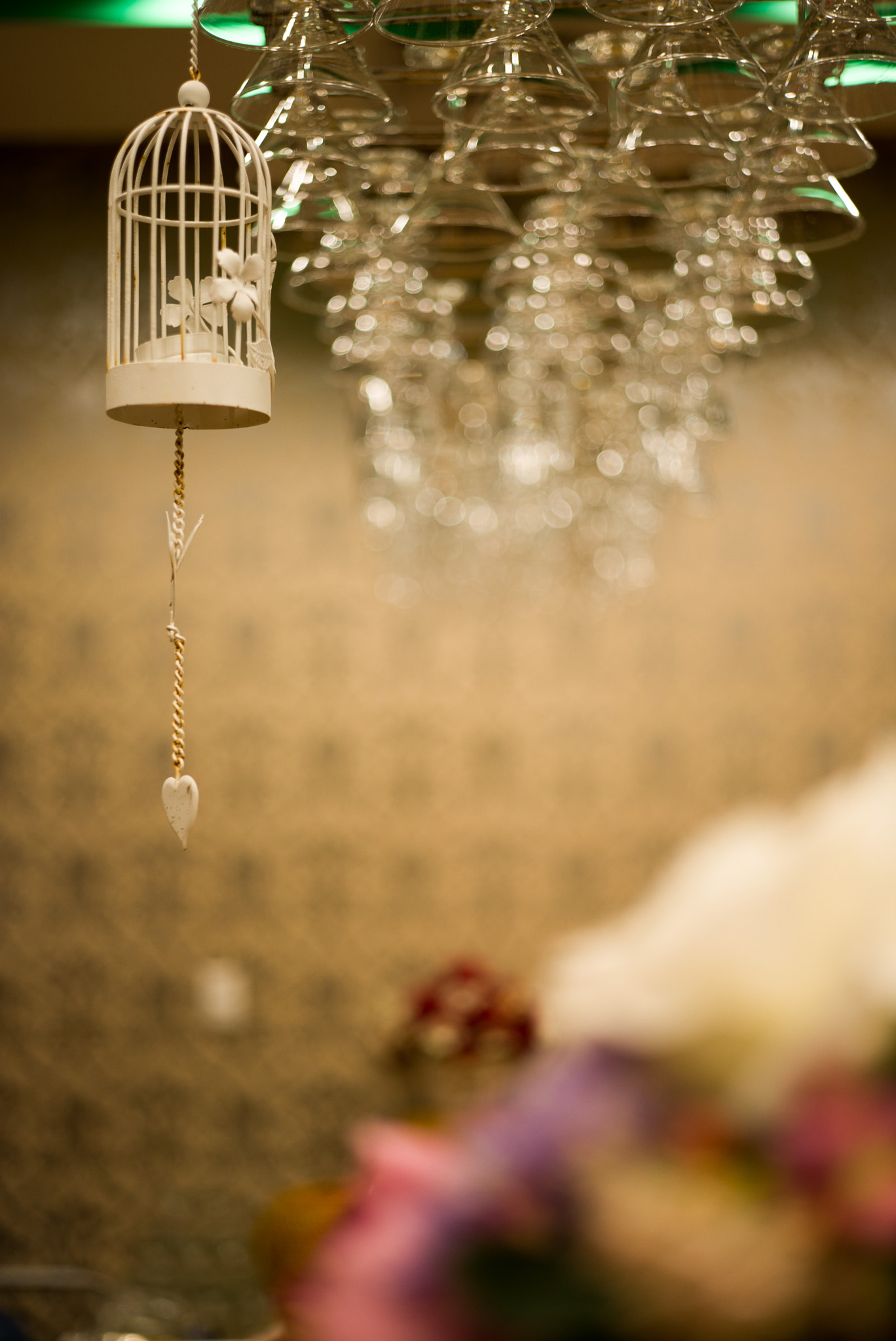 Summicron-M 1:2/50 sample photo. Cage photography