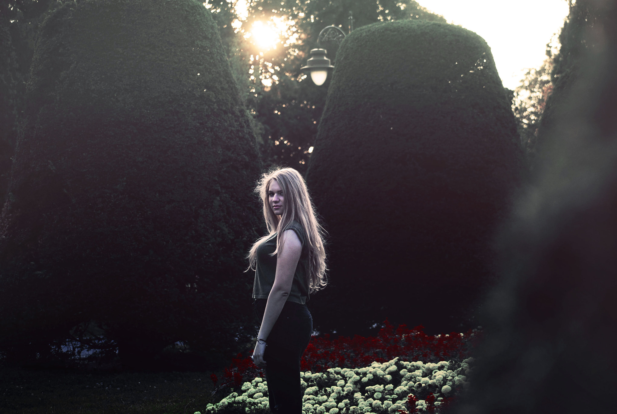 Nikon D80 sample photo. In the garden photography