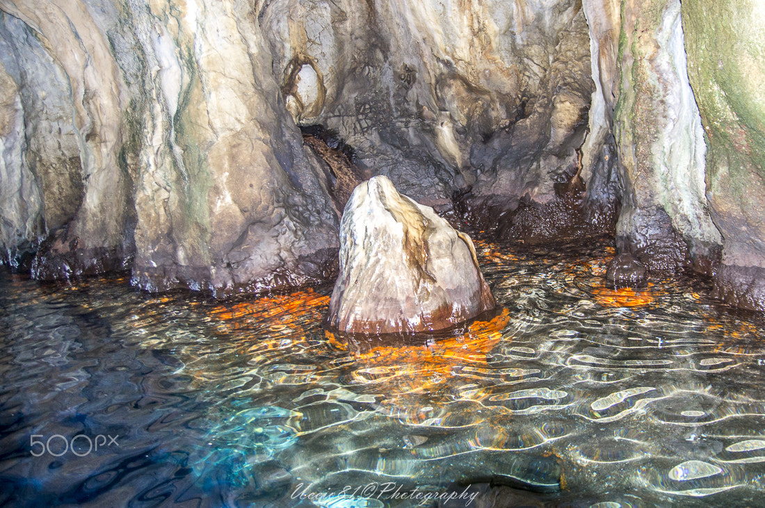 Sony Alpha DSLR-A580 + Tamron SP 24-70mm F2.8 Di VC USD sample photo. The dolphin - grotta azzurra -palinuro photography