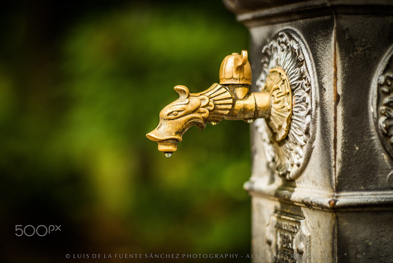 Leica APO-Summicron-M 90mm F2 ASPH sample photo. Fuente photography