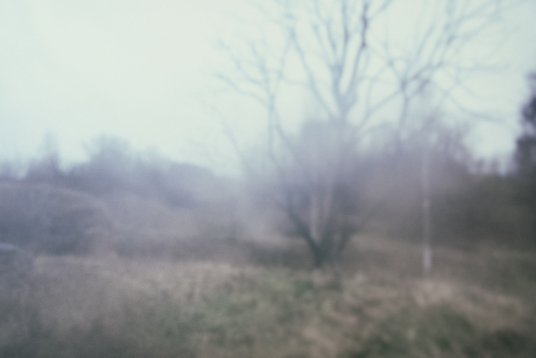 Nikon D80 sample photo. Aether ii photography
