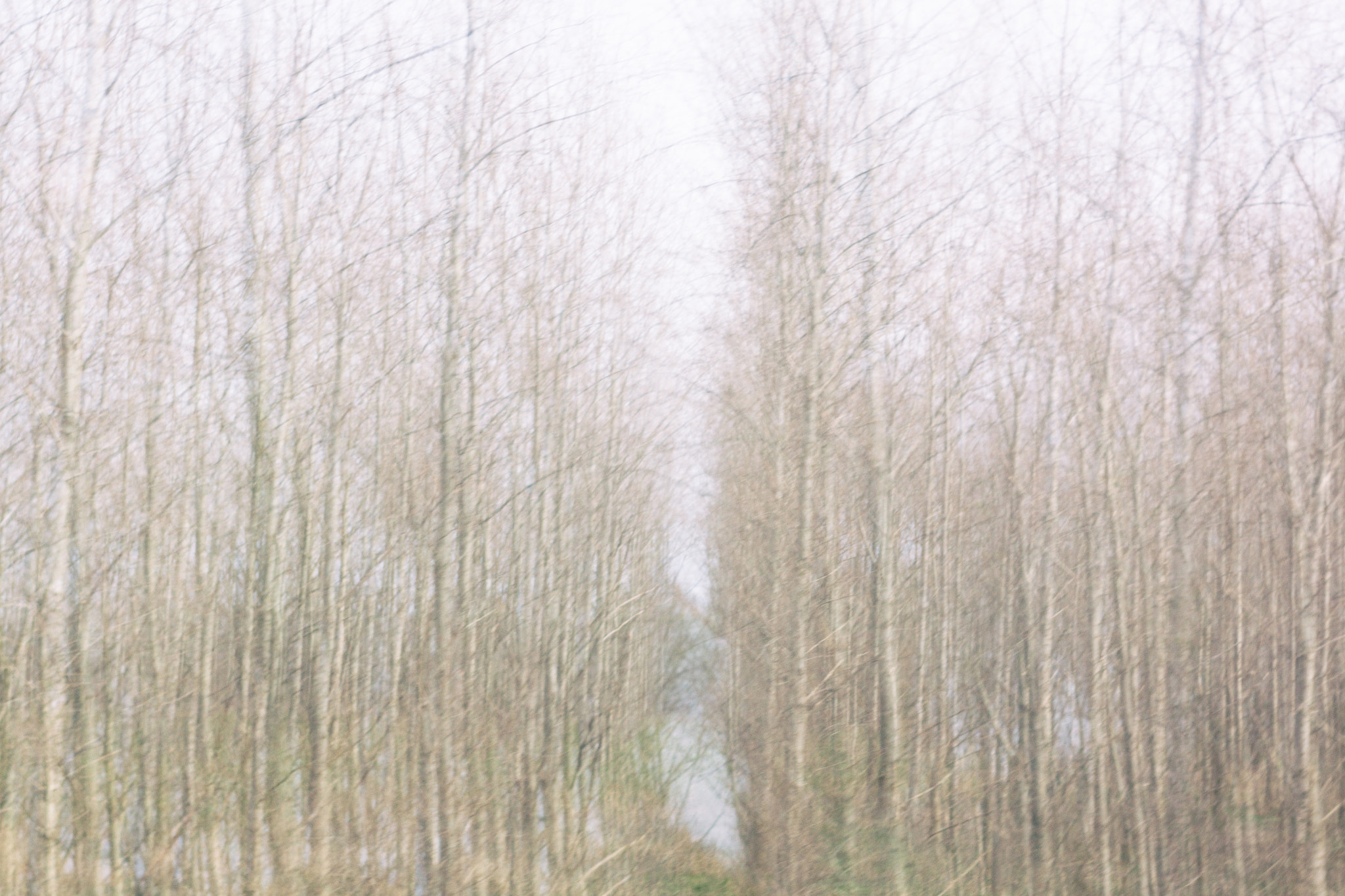 Canon EF 35-80mm f/4-5.6 sample photo. Aether iii photography