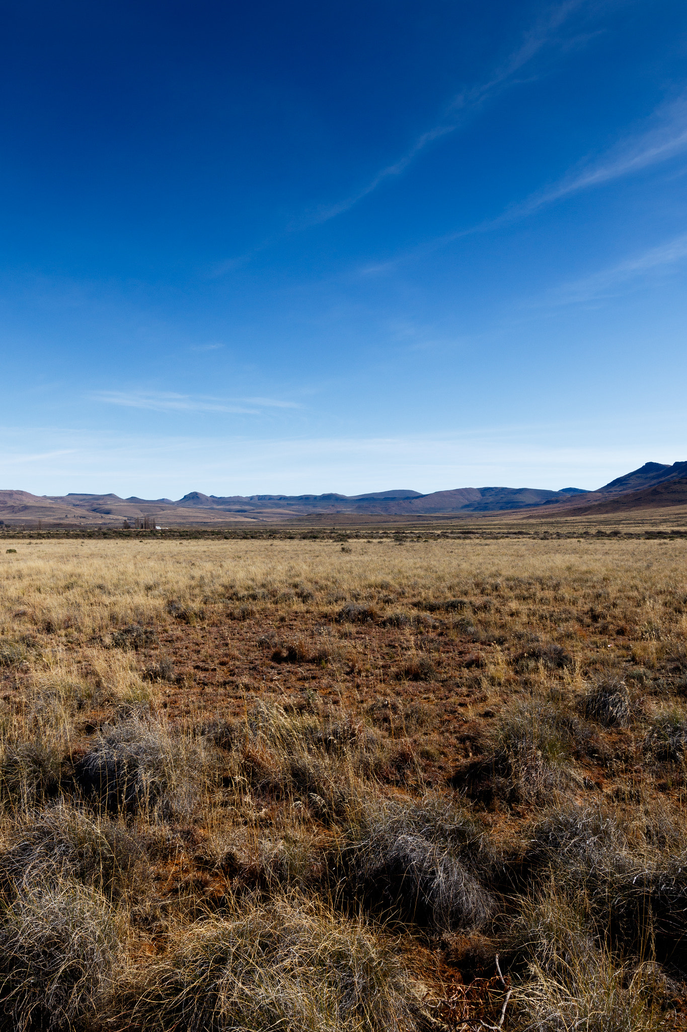 Canon EOS 7D Mark II sample photo. Yellow field leading to mountains with blue skies -  graaff-reinet  photography