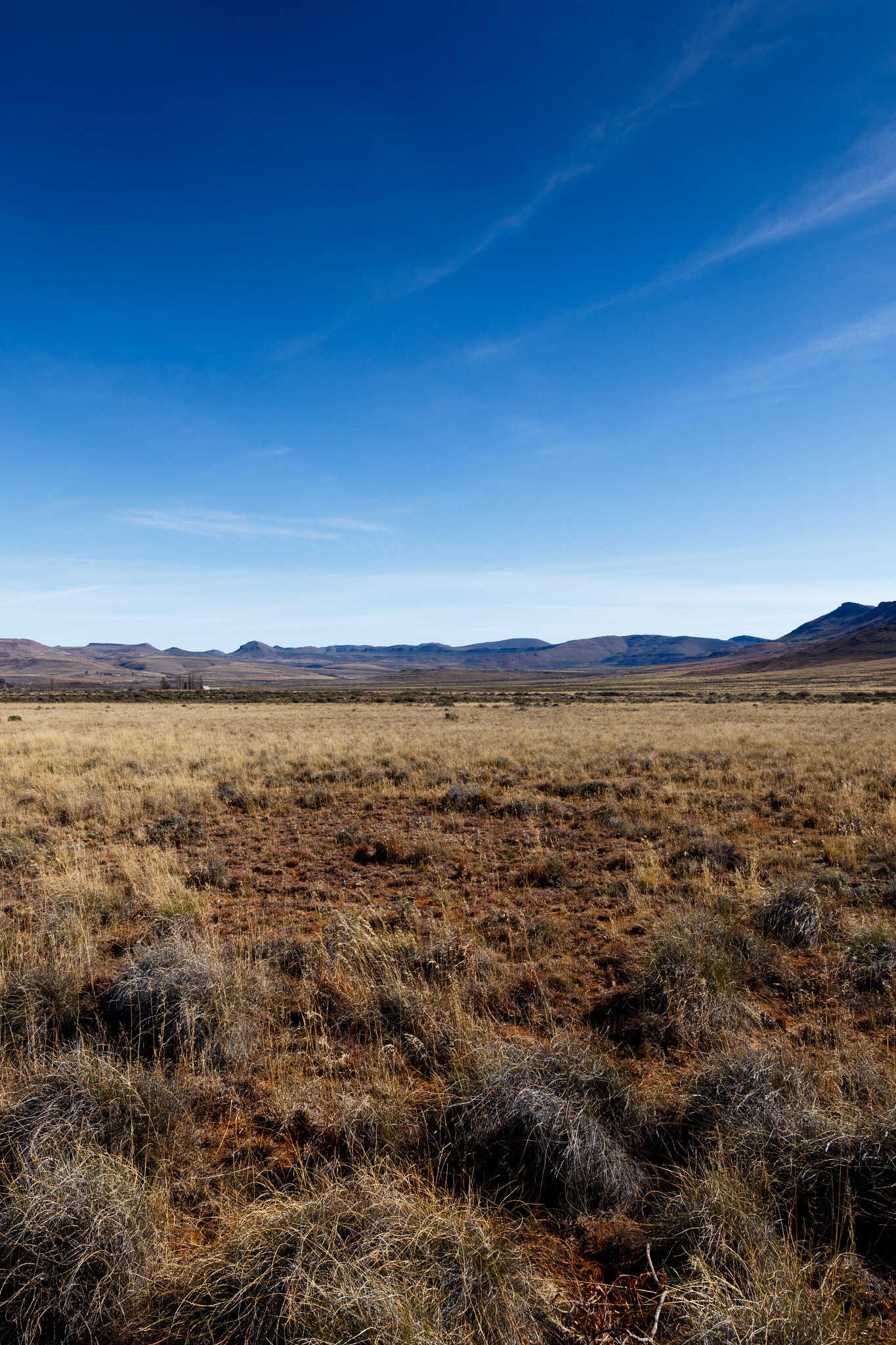 Canon EF 300mm f/2.8L sample photo. Yellow field leading to mountains with blue skies -  graaff-reinet  photography