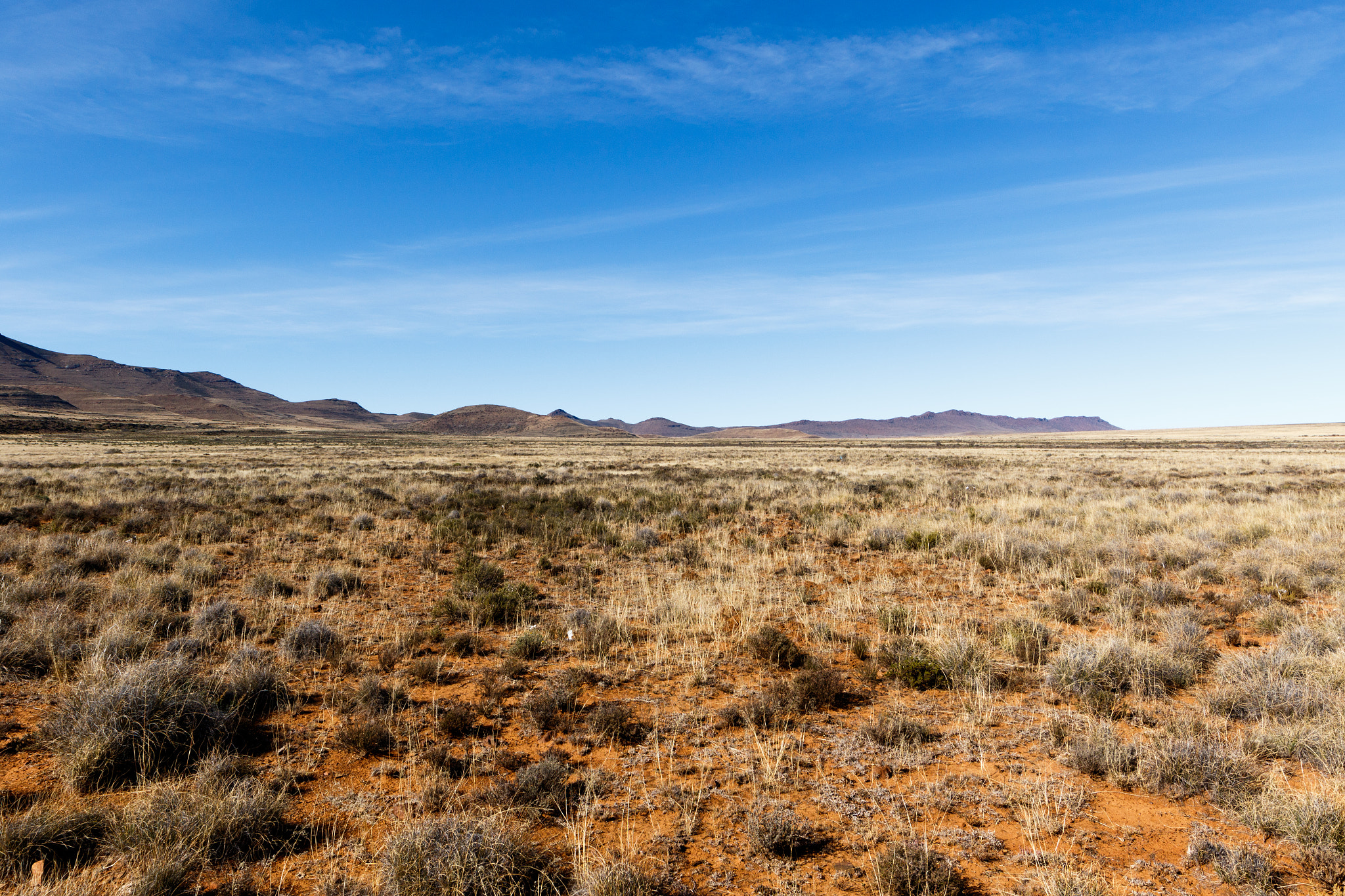 Canon EF 300mm f/2.8L sample photo. Flat yellow fields with mountains and blue sky photography