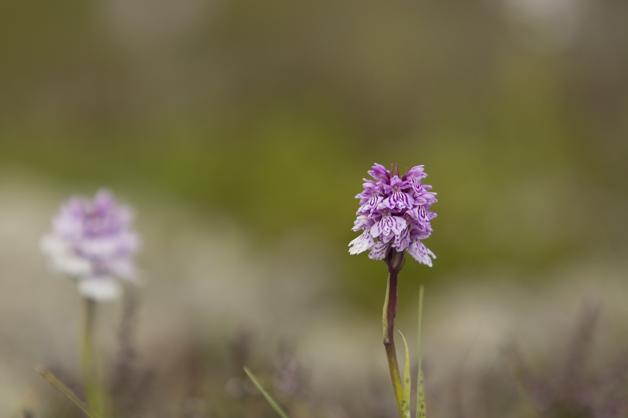 Canon EF 70-200mm F2.8L USM sample photo. Norway photography