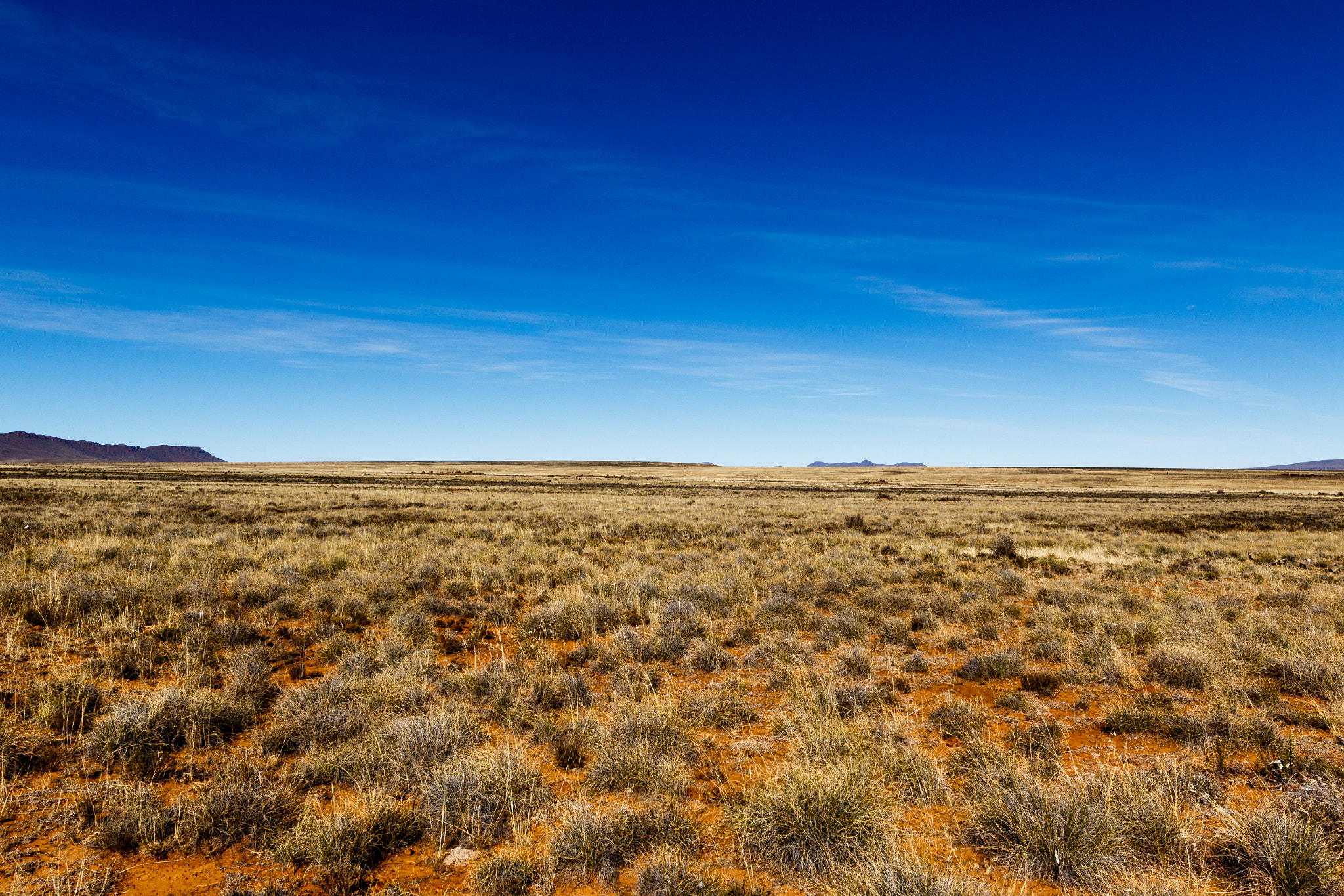 Canon EF 300mm f/2.8L sample photo. Yellow fields with mountain view from the side photography