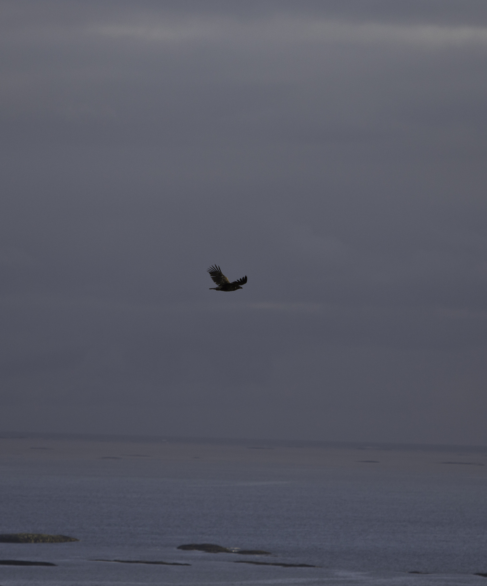 Canon EF 70-200mm F2.8L USM sample photo. Mg photography