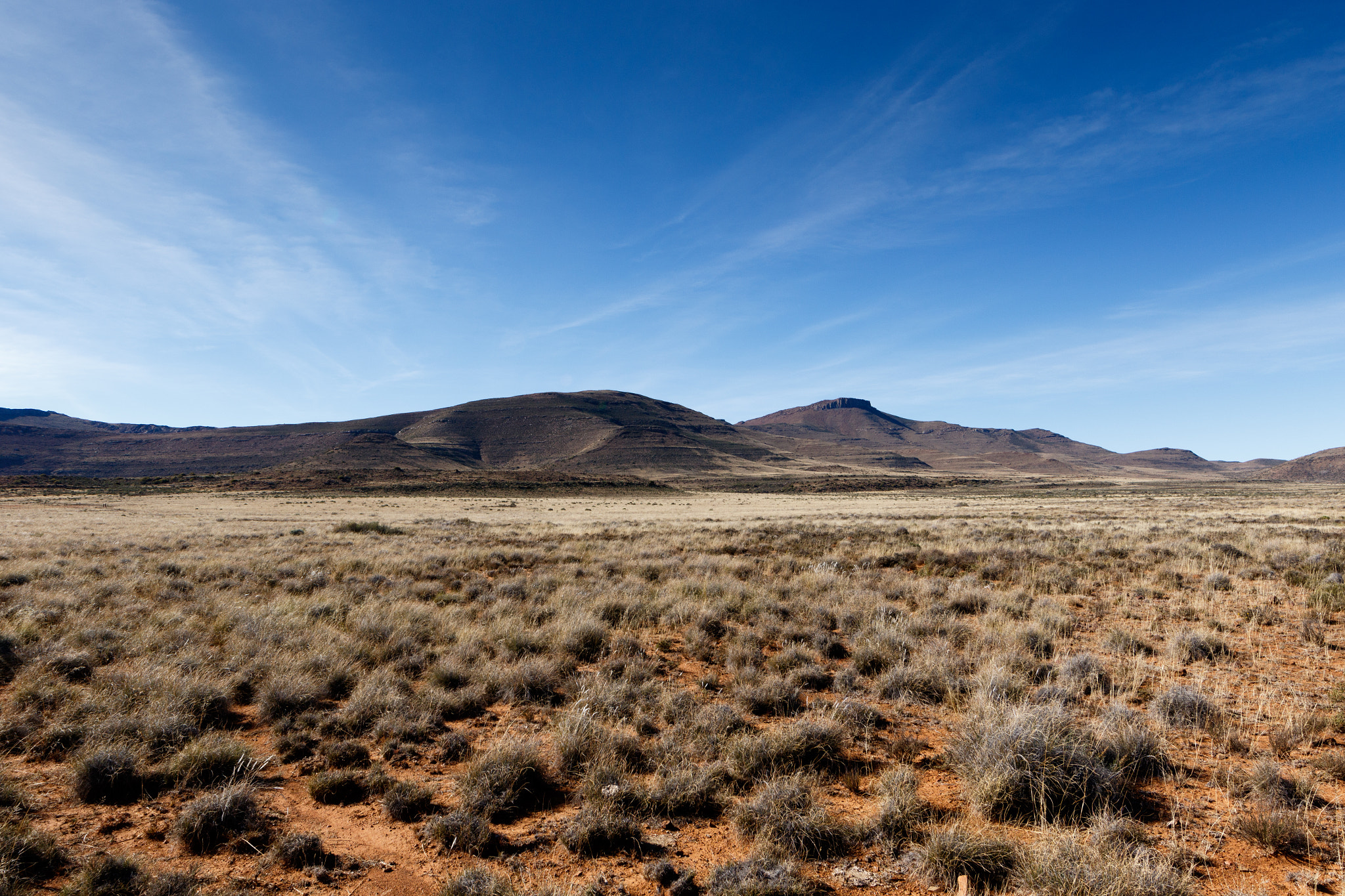Canon EF 300mm f/2.8L sample photo. Green grass field with mountains in graaff-reinet photography