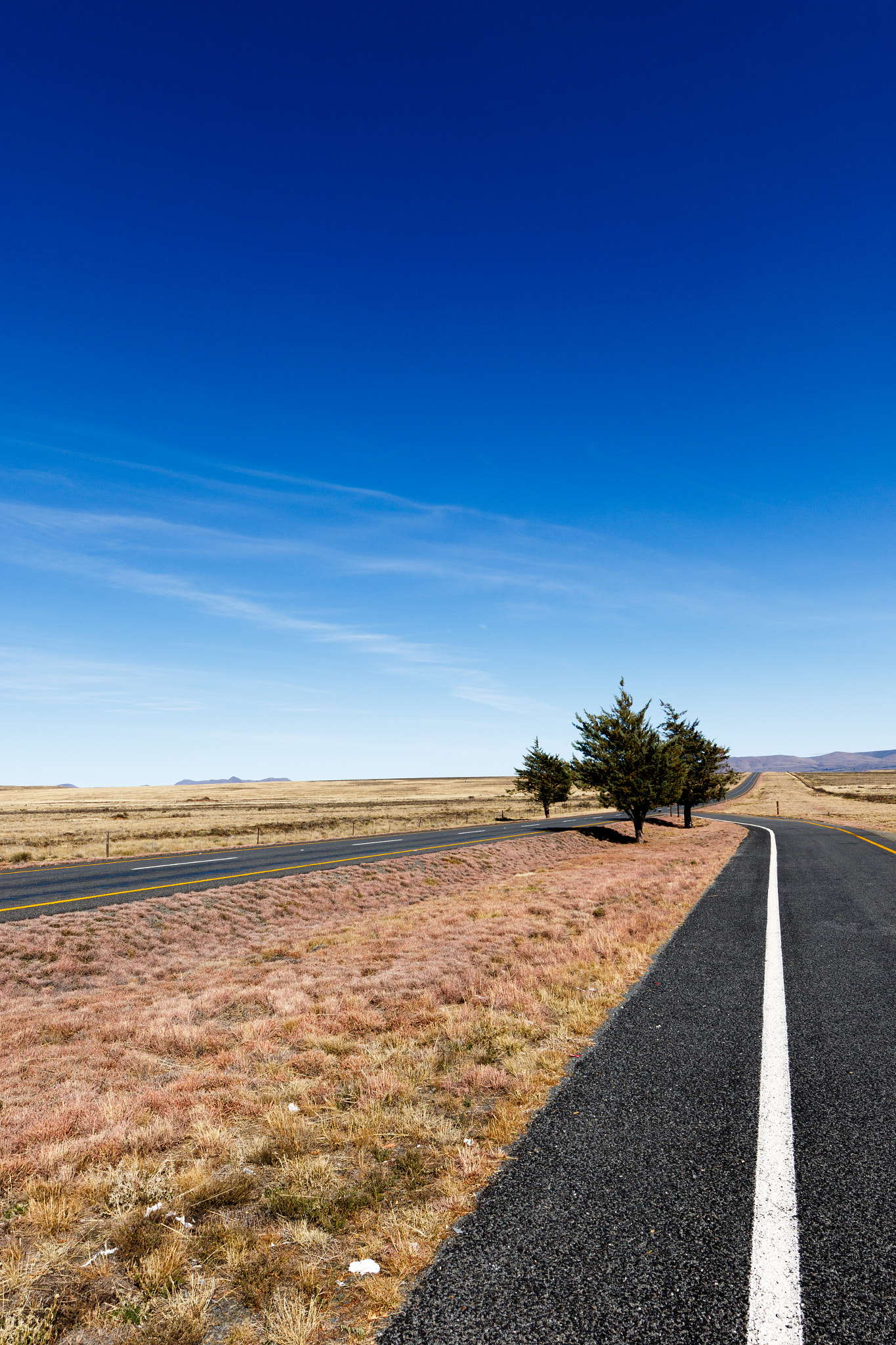 Canon EF 300mm f/2.8L sample photo. The two roads that leading to the mountains photography