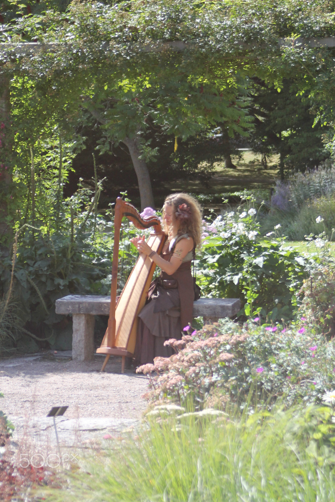 Canon EF 28-80mm f/3.5-5.6 sample photo. Harp player photography