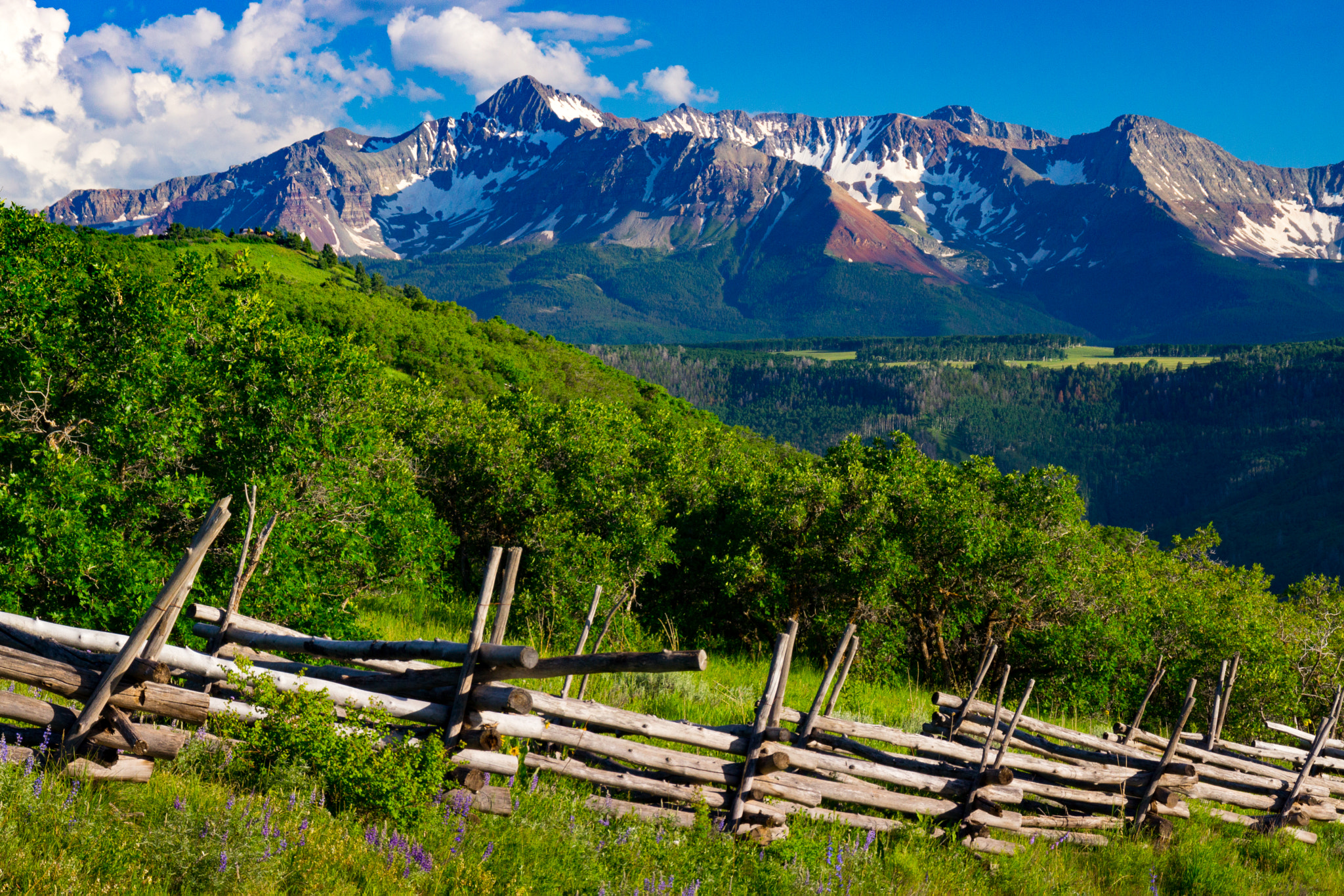 Sony DT 18-200mm F3.5-6.3 sample photo. A summer in telluride photography