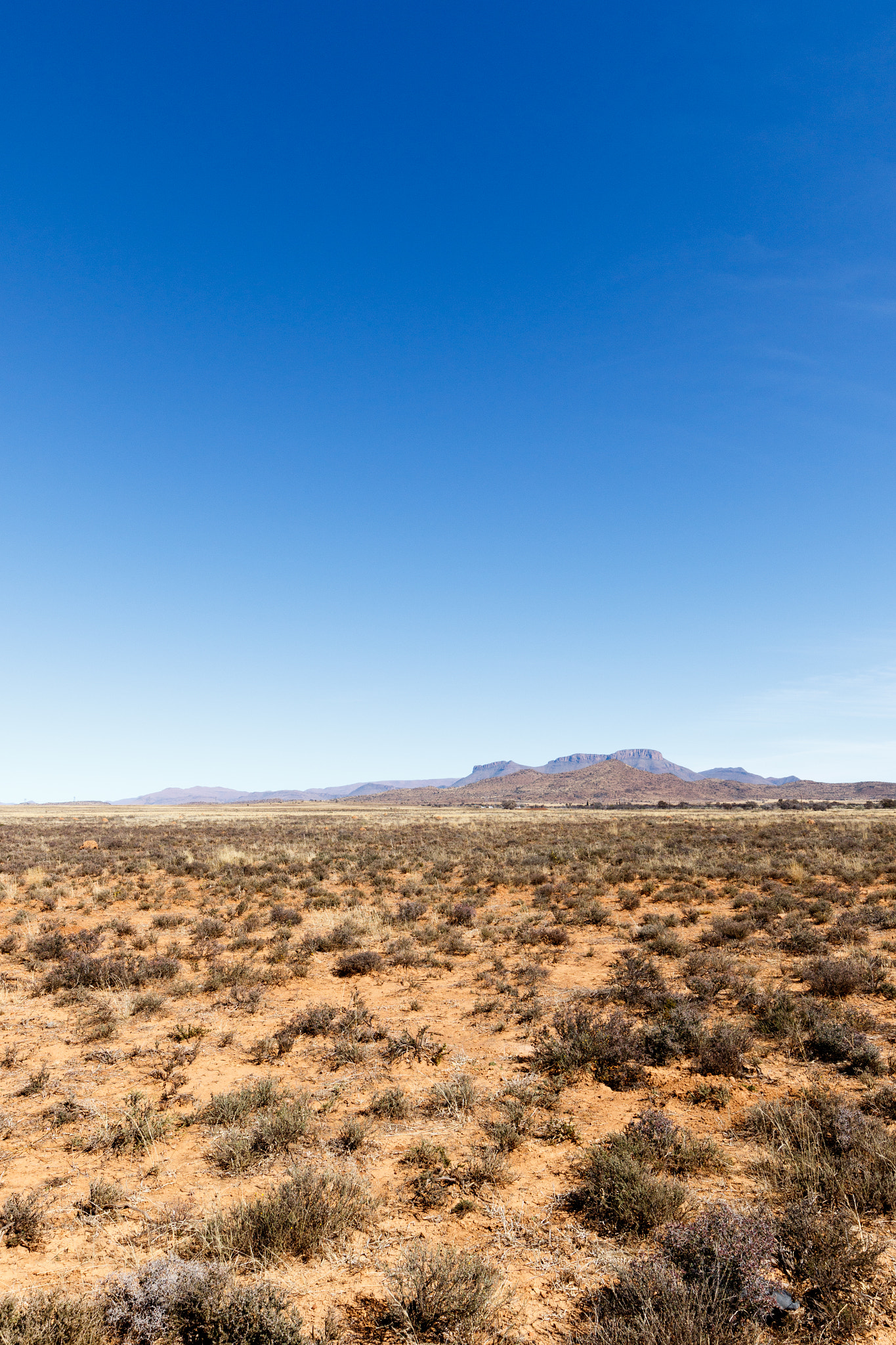 Canon EOS 7D Mark II + Canon EF 300mm f/2.8L sample photo. Portrait - barren field with mountains and blue sky photography