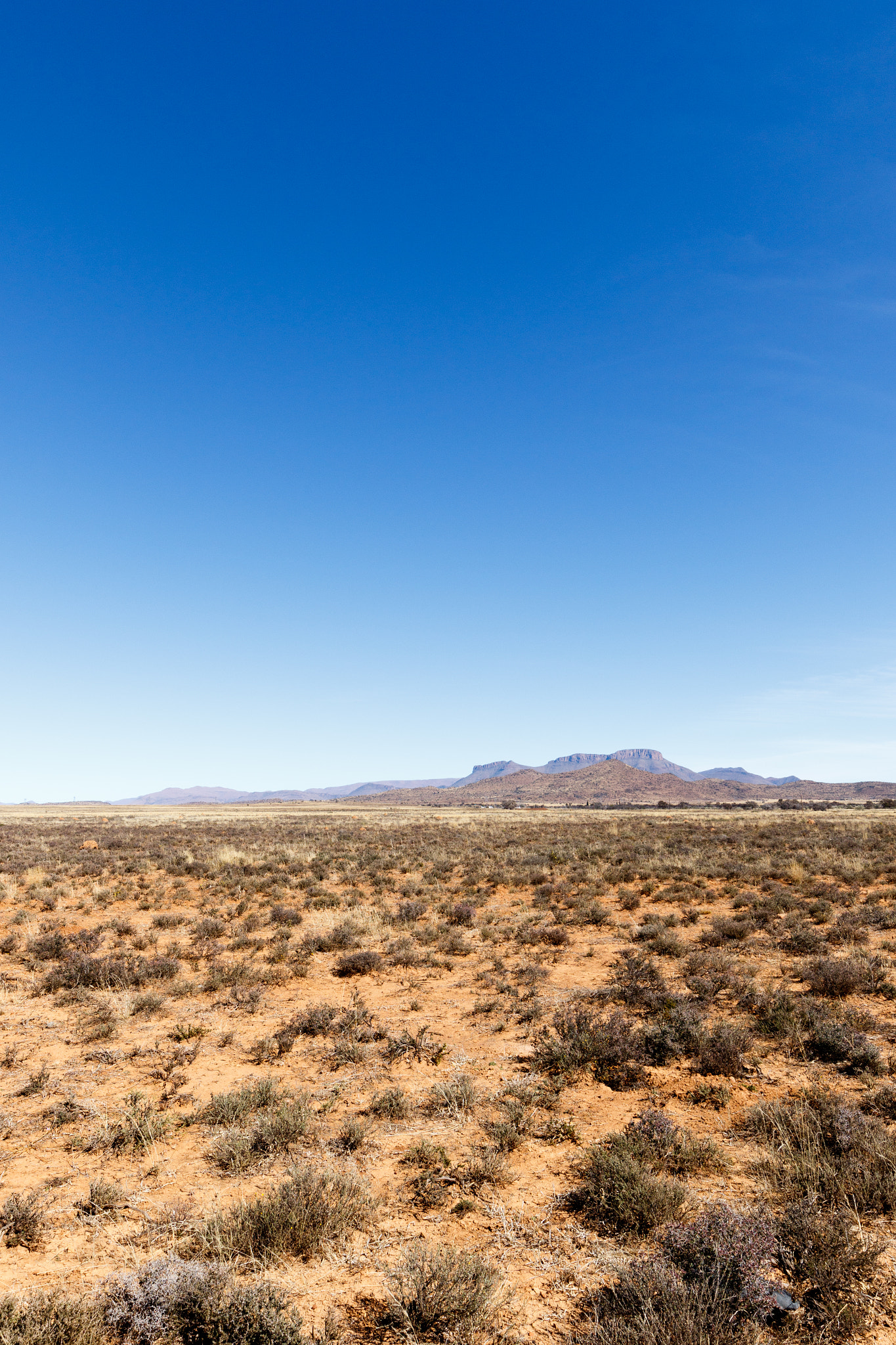 Canon EF 300mm f/2.8L sample photo. Portrait - barren field with mountains and blue sky photography