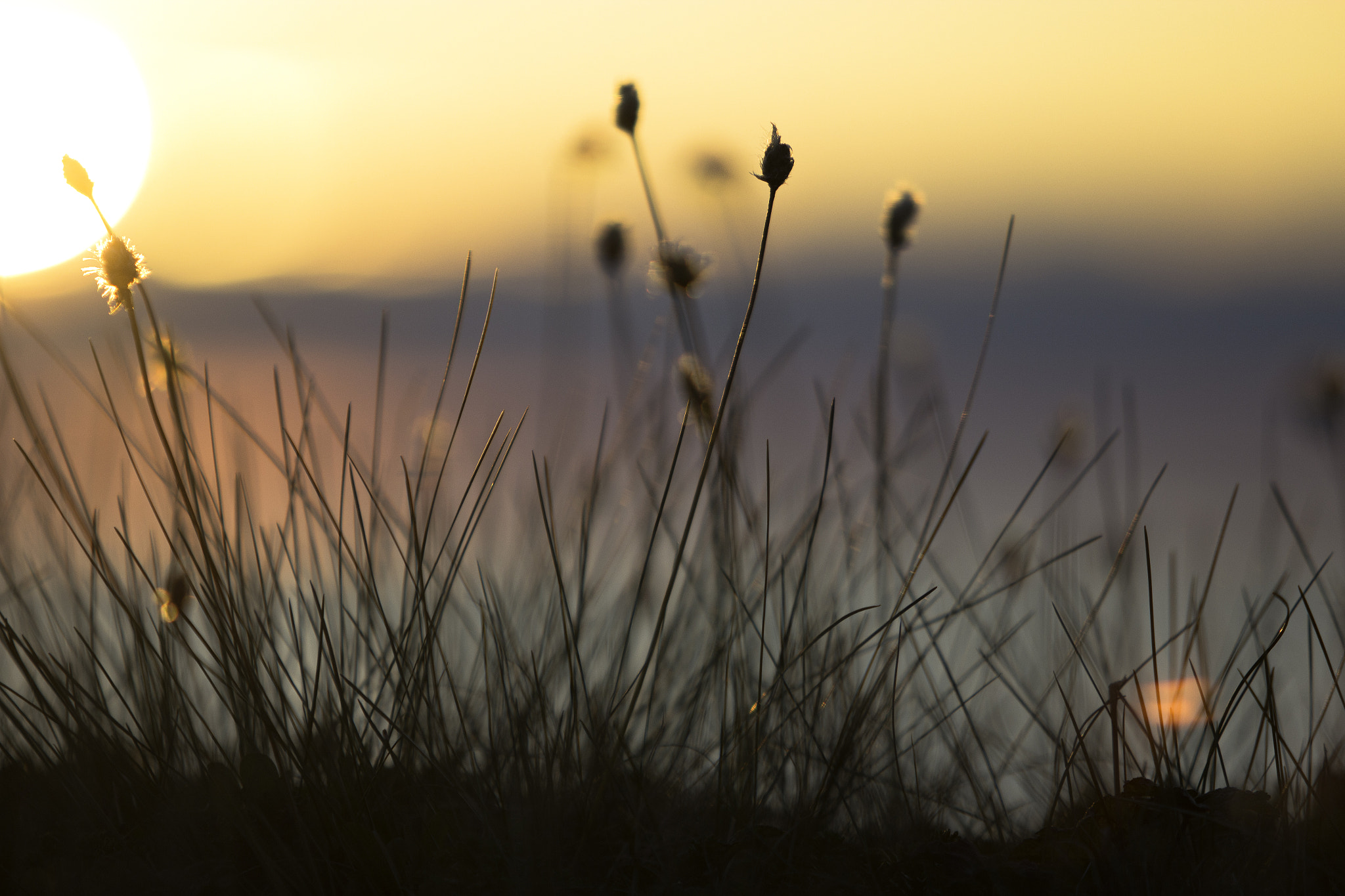 Canon EF 70-200mm F2.8L USM sample photo. Norway photography