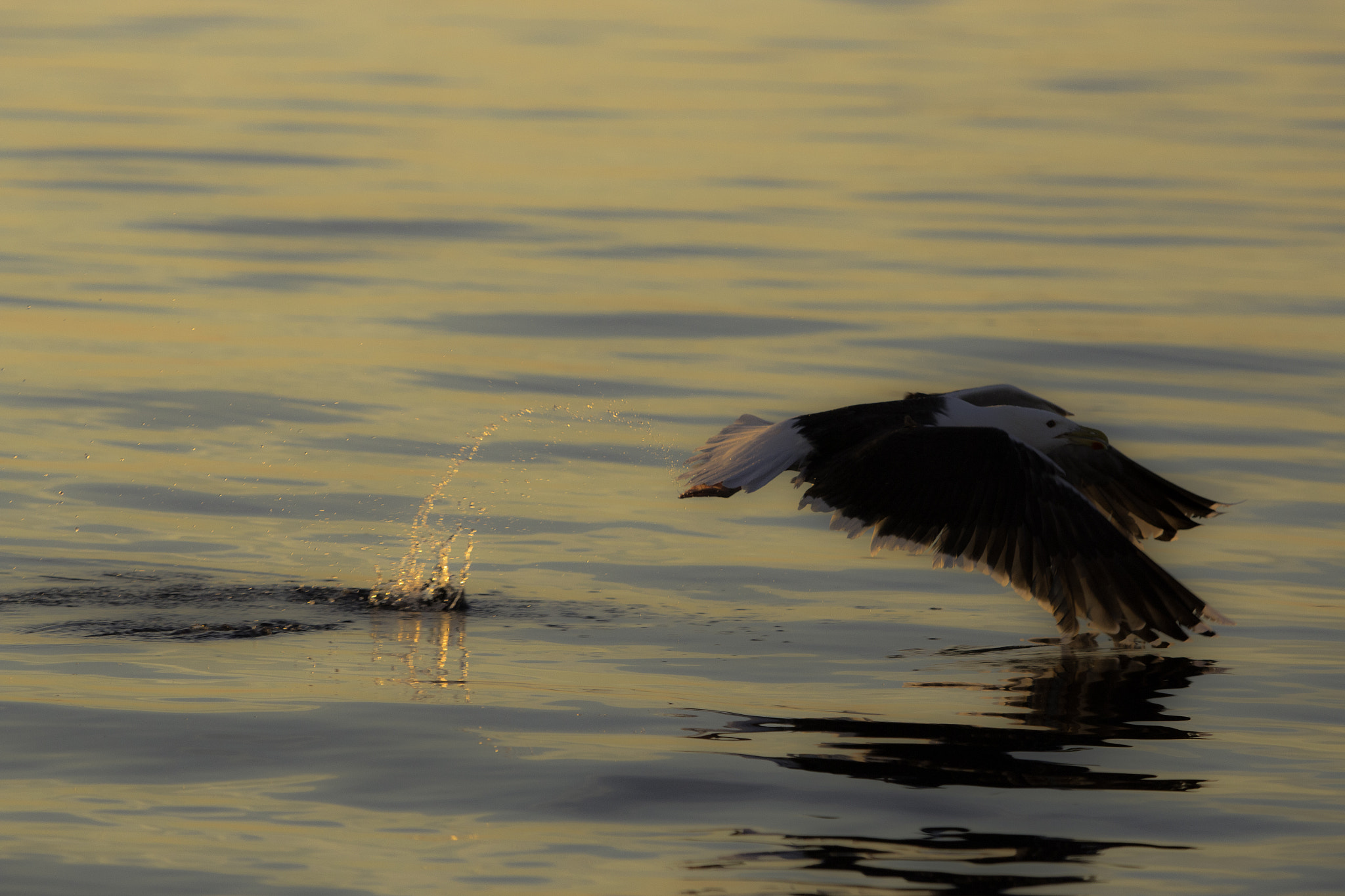 Canon EF 70-200mm F2.8L USM sample photo. Norway photography