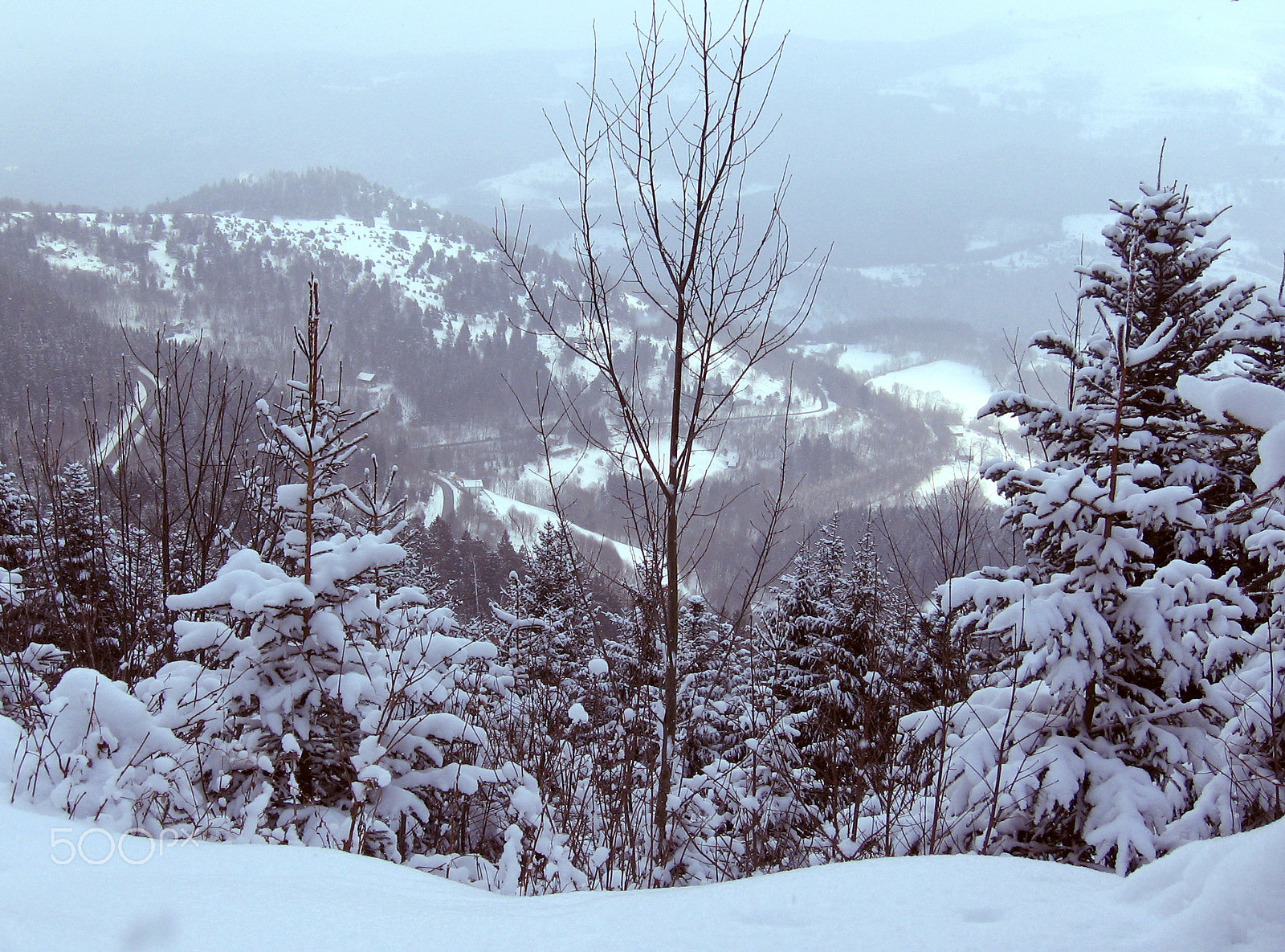 Canon POWERSHOT A520 sample photo. Snowy munster, alsace photography