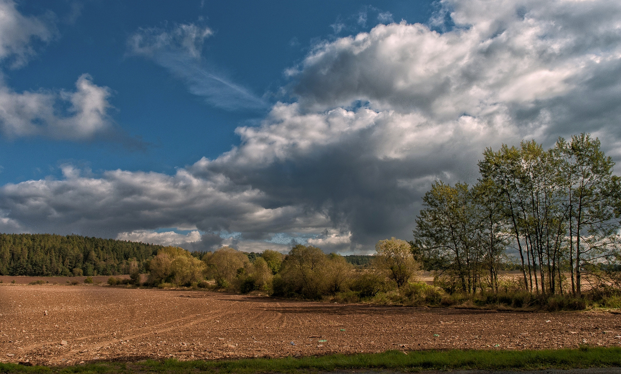 Nikon D3000 sample photo. Autumn field photography