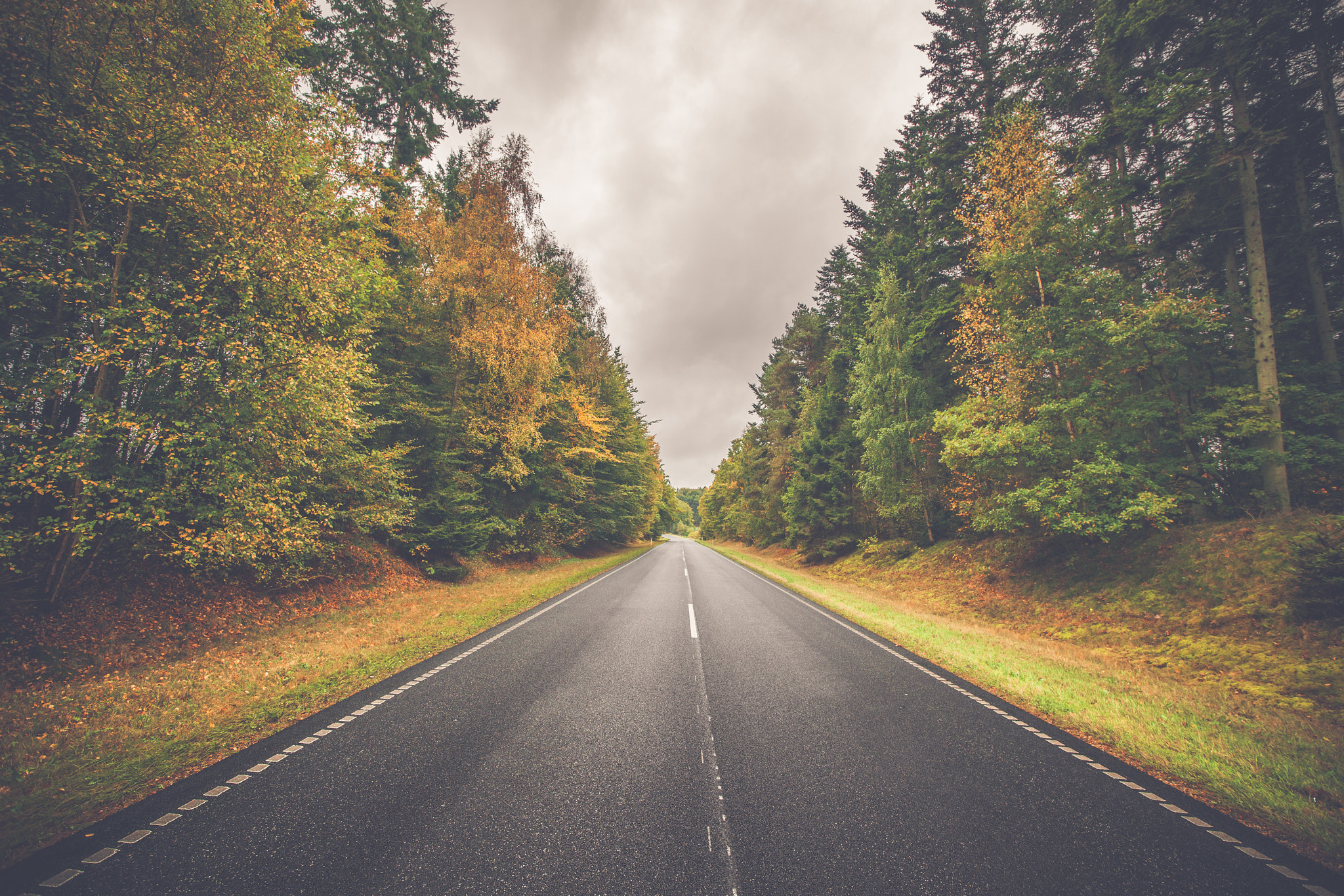 Sony Alpha DSLR-A900 + Sony Vario-Sonnar T* 16-35mm F2.8 ZA SSM sample photo. Highway with colorful trees by the road photography