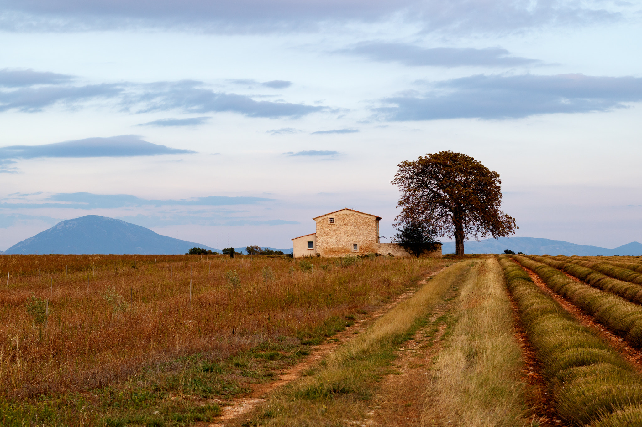 Canon EOS M3 + Canon EF 50mm F1.8 STM sample photo. Provence photography