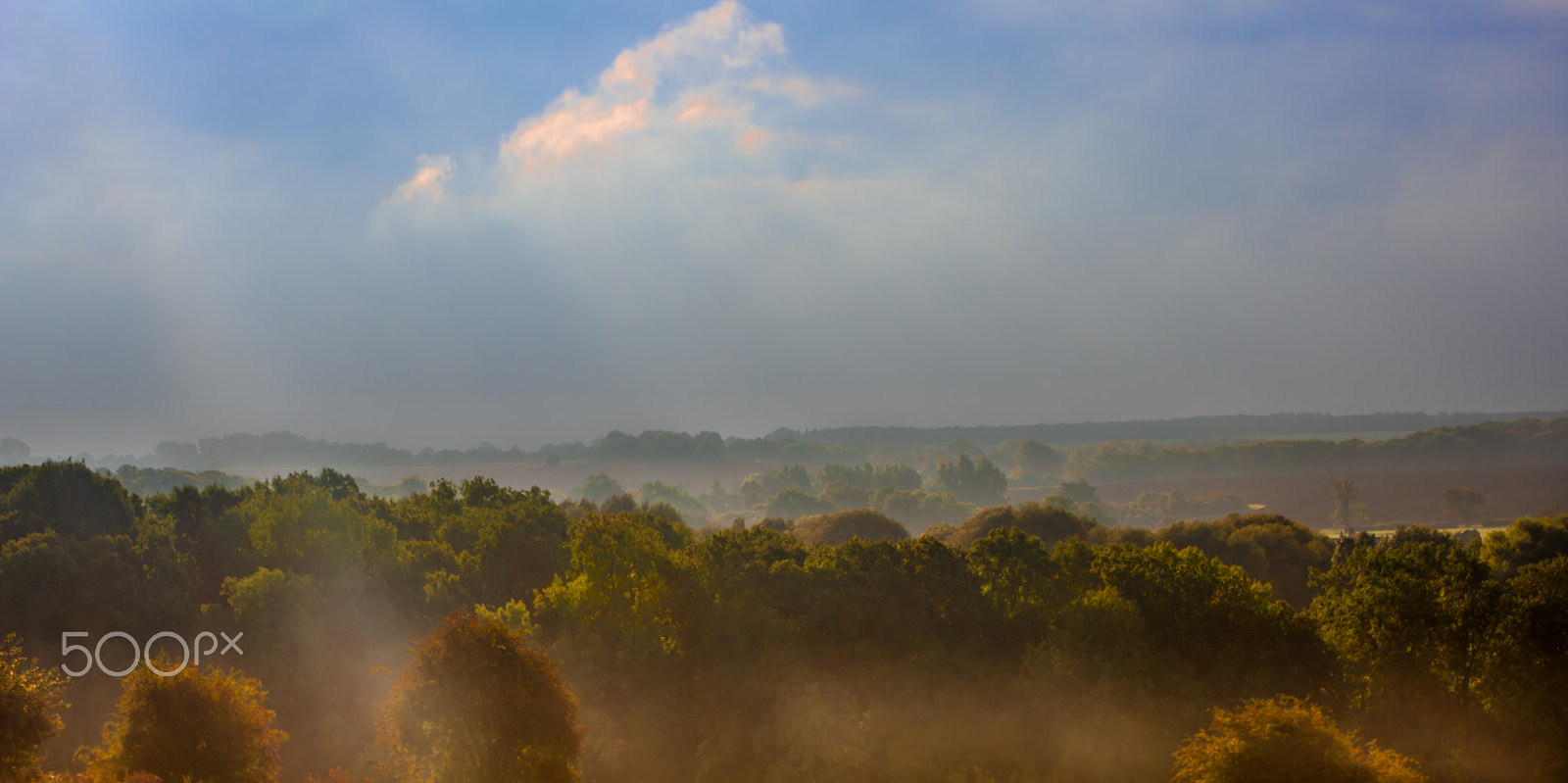 Pentax smc DA 18-55mm F3.5-5.6 AL WR sample photo. Autumnal warwickshire photography