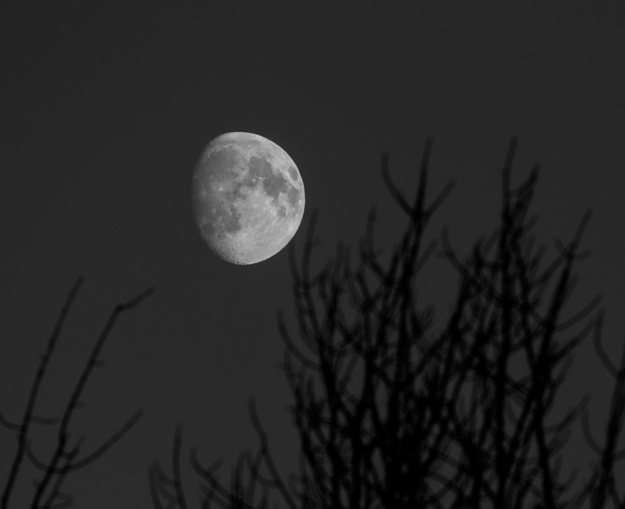 Canon EF 70-300mm F4-5.6L IS USM sample photo. Reaching to the moon photography