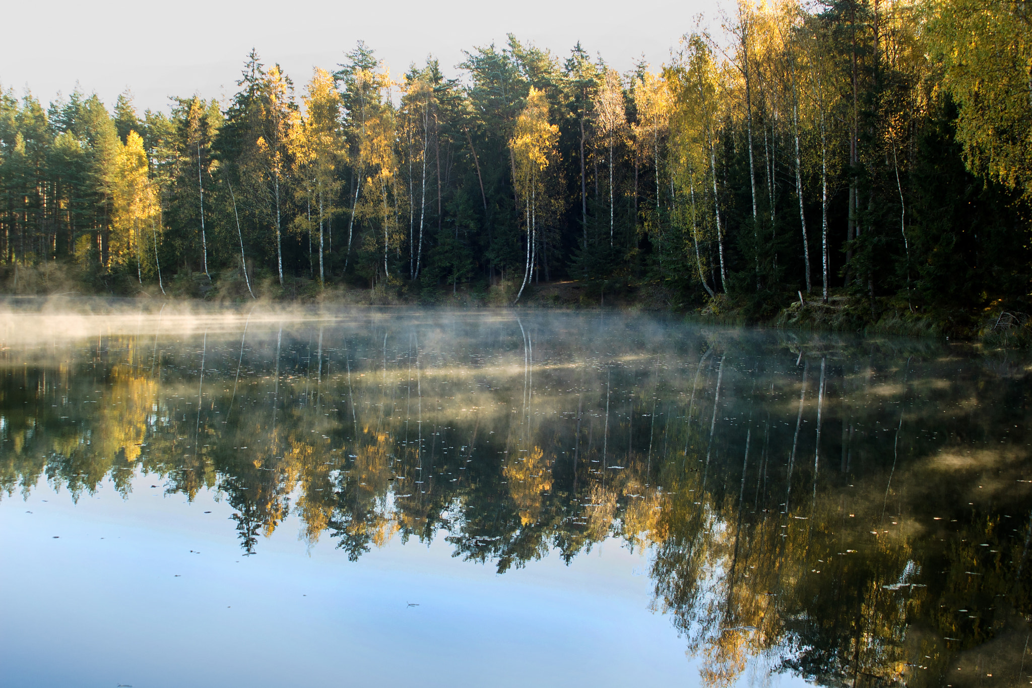 Nikon D70s + Sigma 28-105mm F2.8-4 Aspherical sample photo. Fog in the forest photography