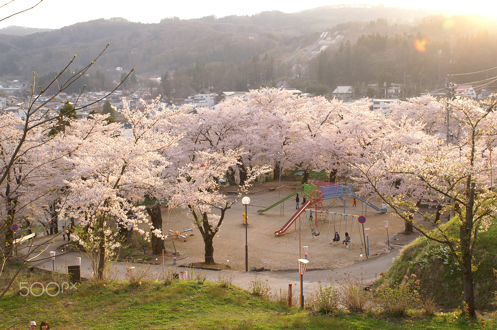 KONICA MINOLTA ALPHA-7 DIGITAL sample photo. Cherry blossoms 8 photography