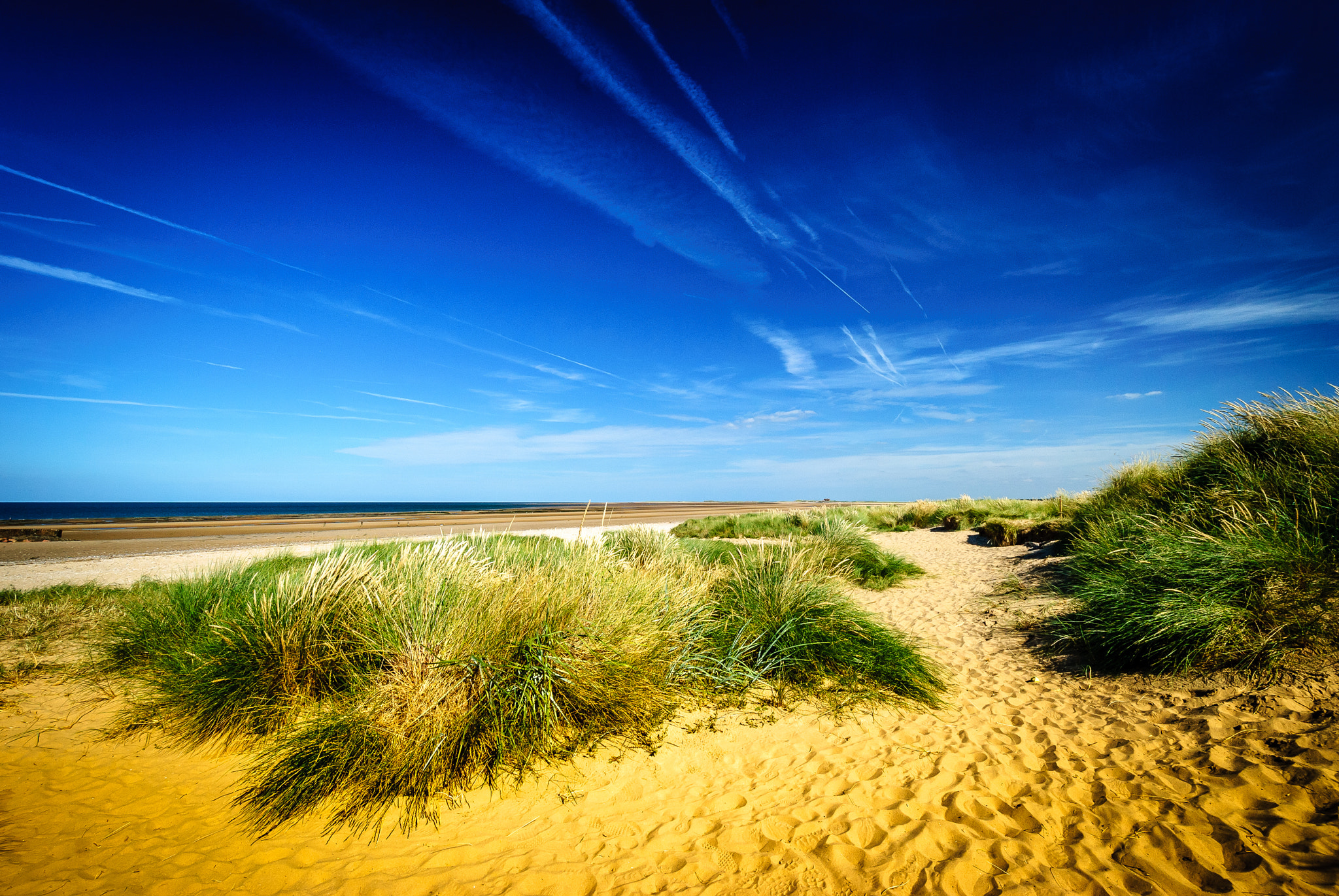 Nikon D80 sample photo. Beach trails photography