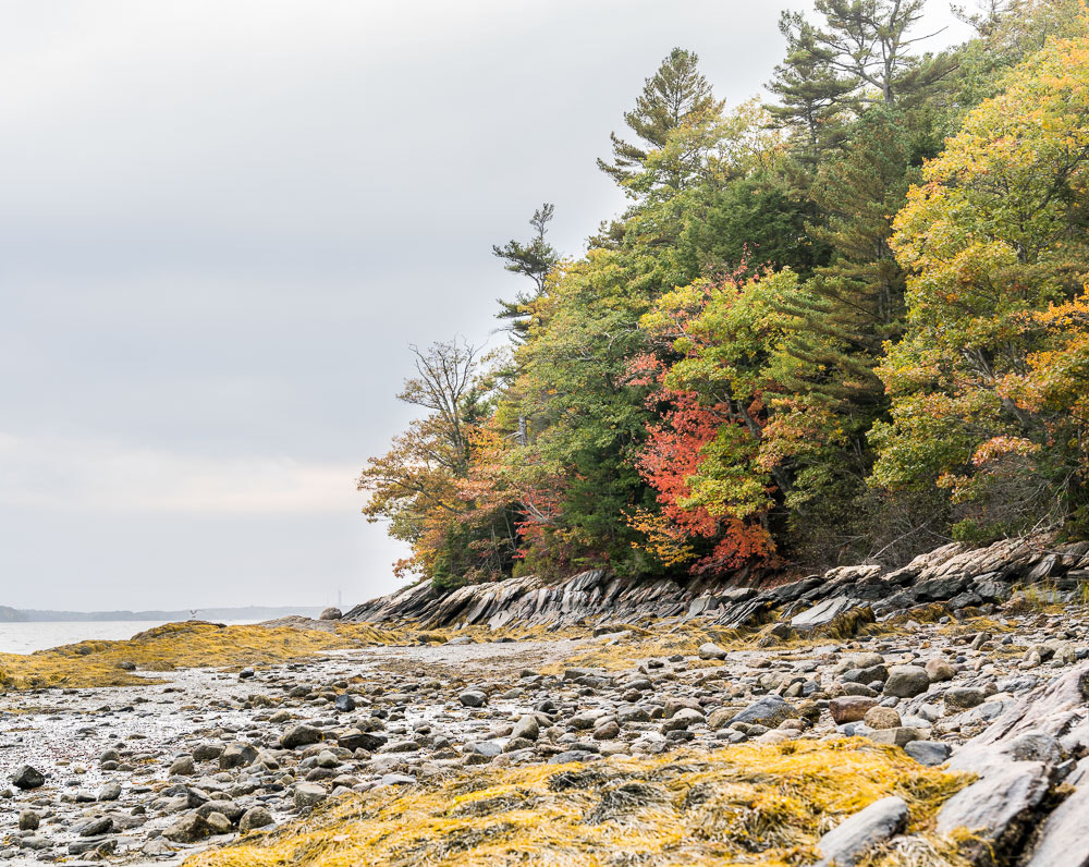 Sony a6300 + Sony FE 24-70mm F2.8 GM sample photo. Wolfe's neck state park, maine photography