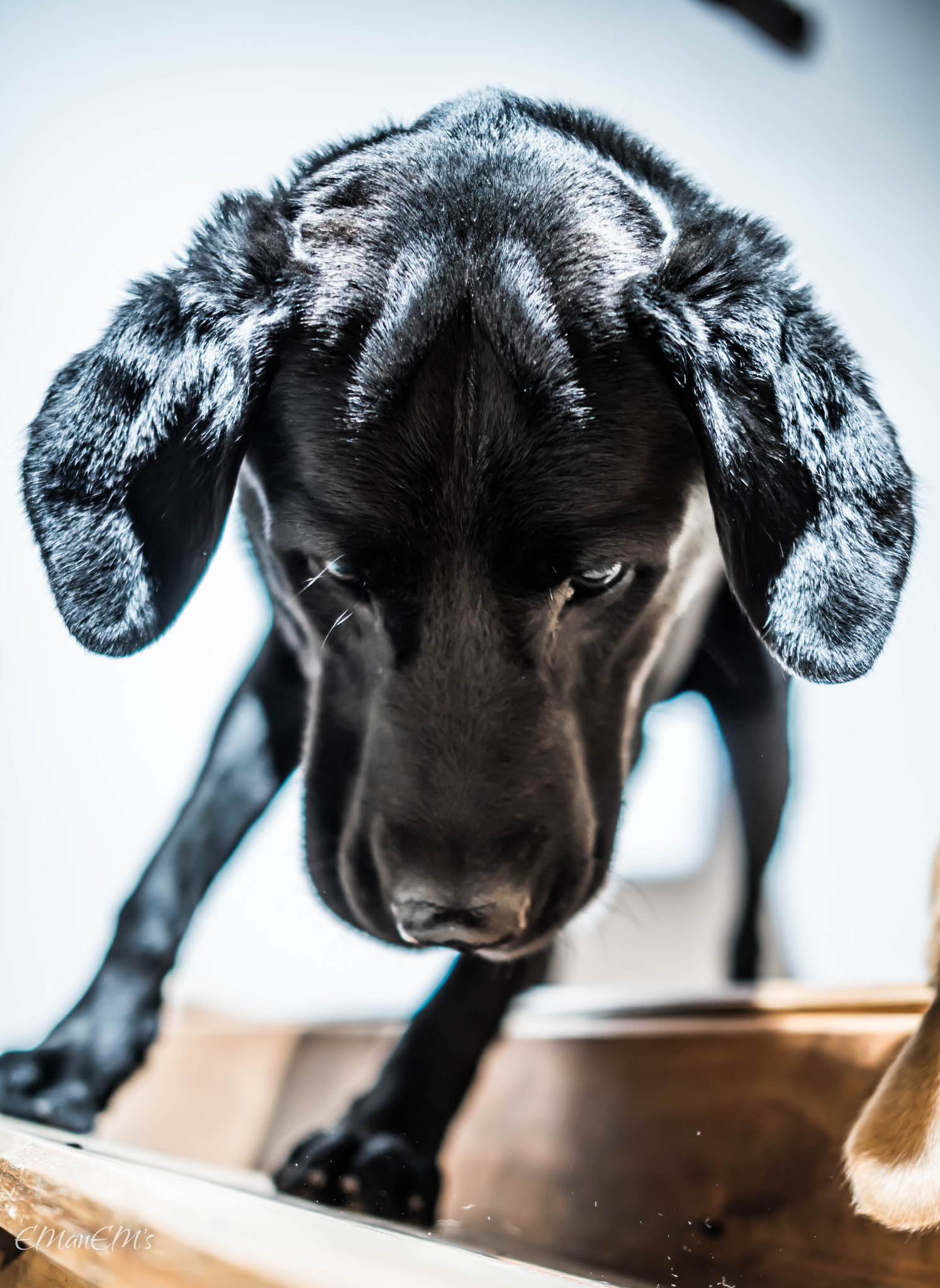 Nikon D810 + Nikon AF-S Nikkor 28mm F1.8G sample photo. Dsc photography