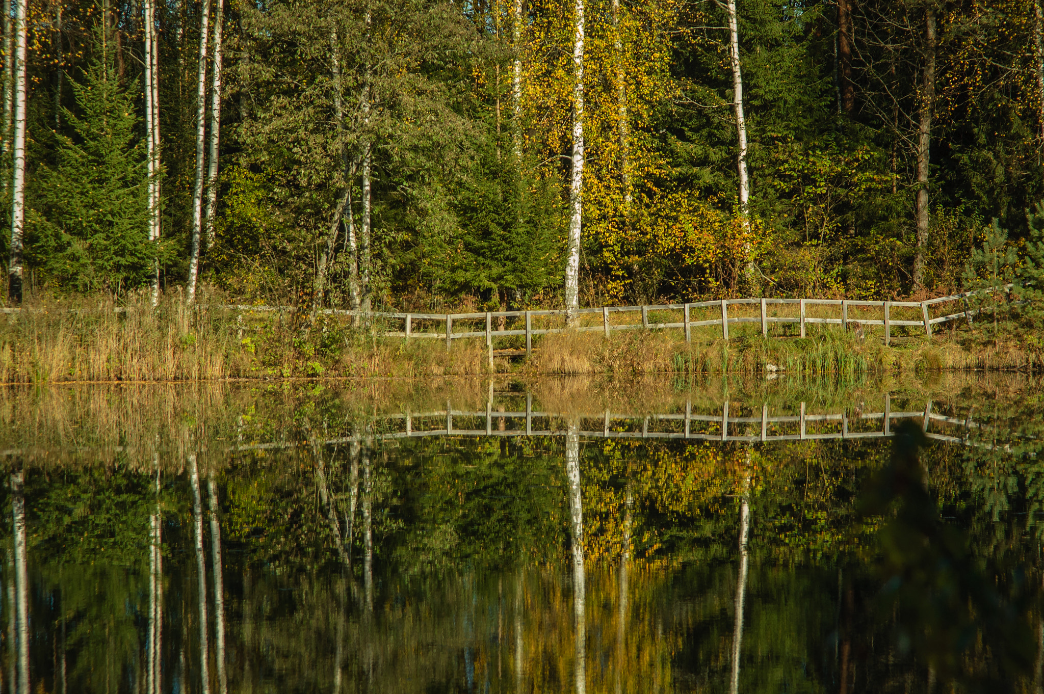 Nikon D70s + Sigma 28-105mm F2.8-4 Aspherical sample photo. Fence the water photography