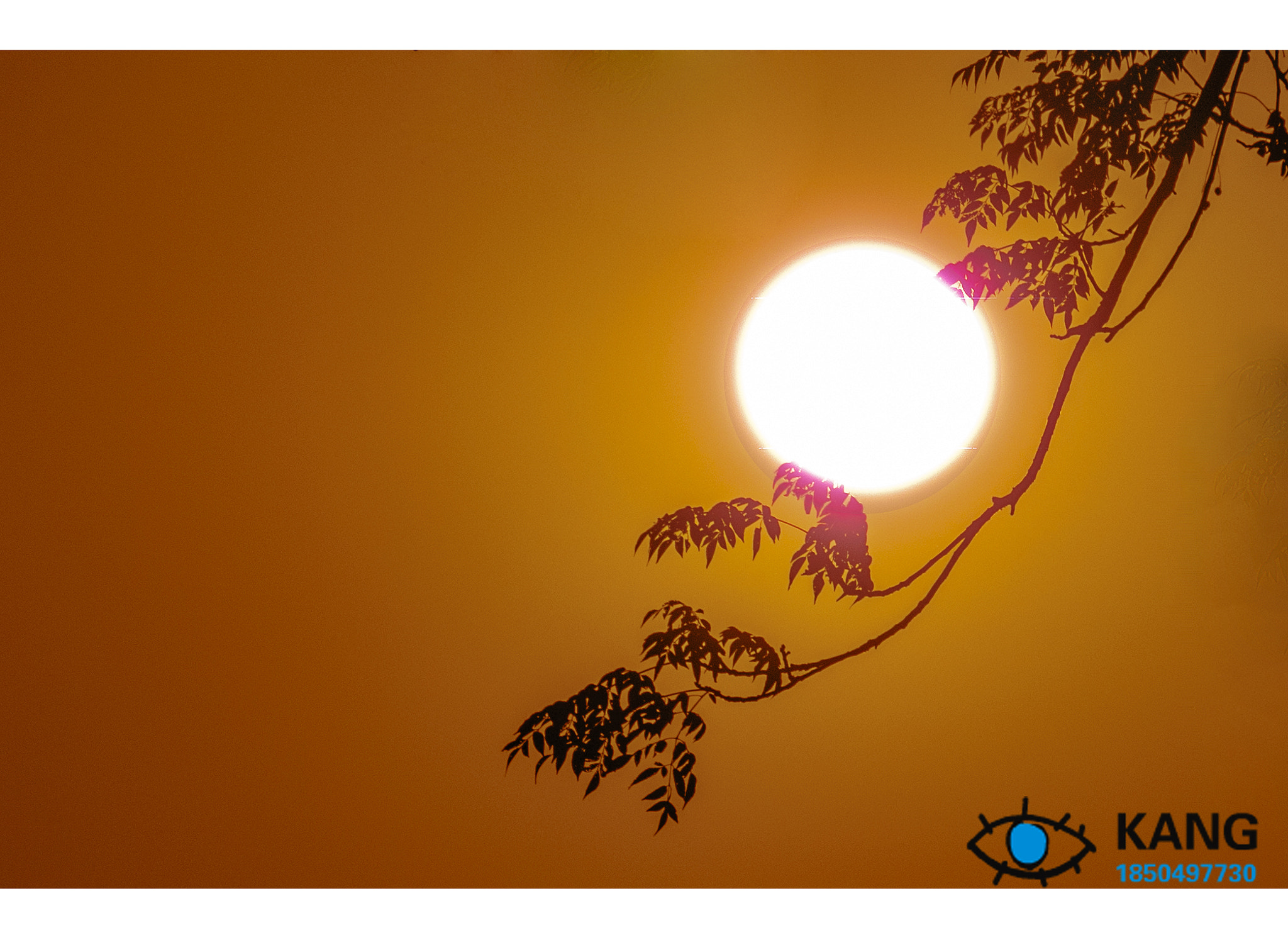 Nikon 1 Nikkor VR 30-110mm F3.8-5.6 sample photo. 落日 photography