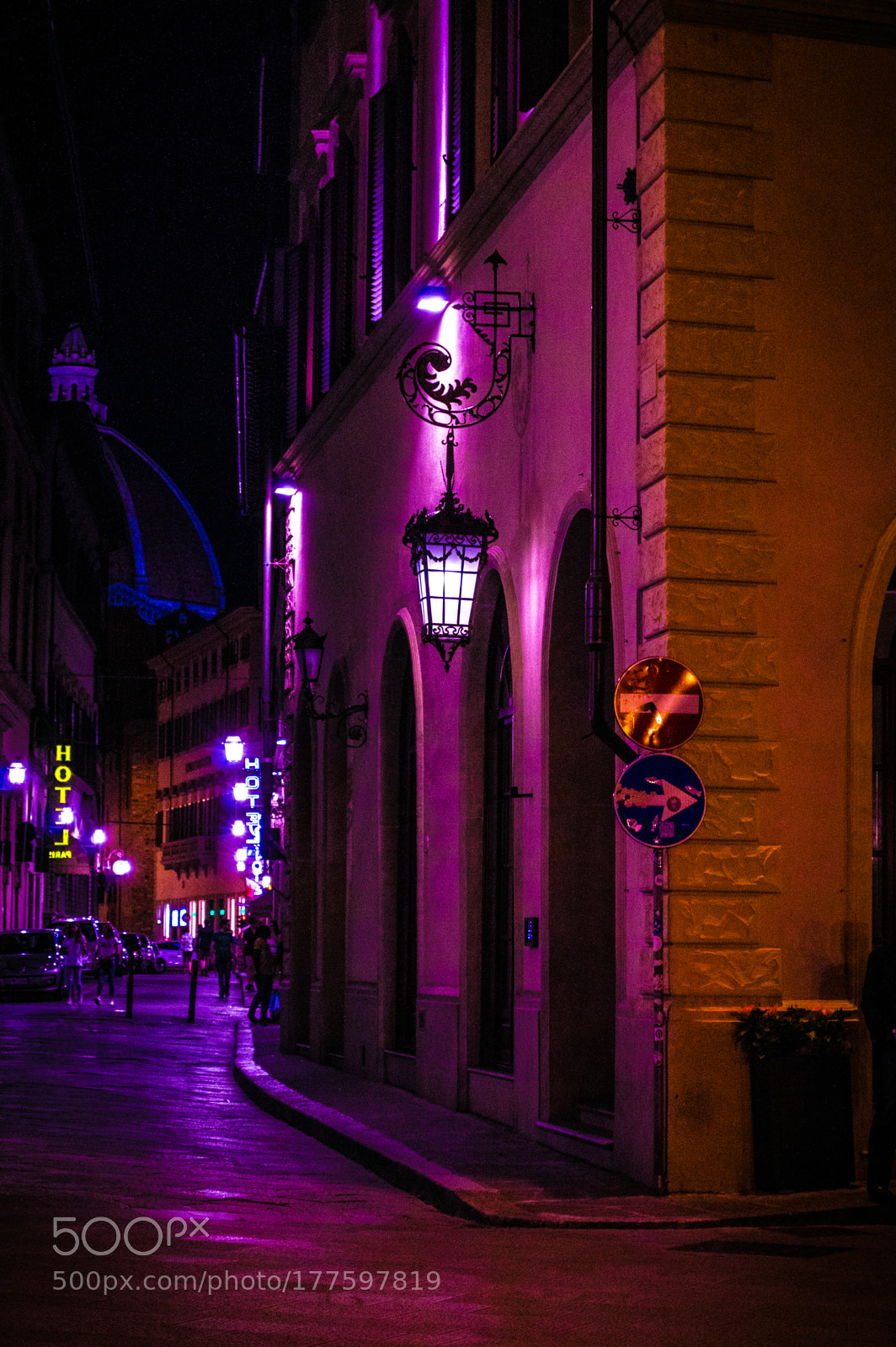 Nikon D3200 sample photo. Violet photography