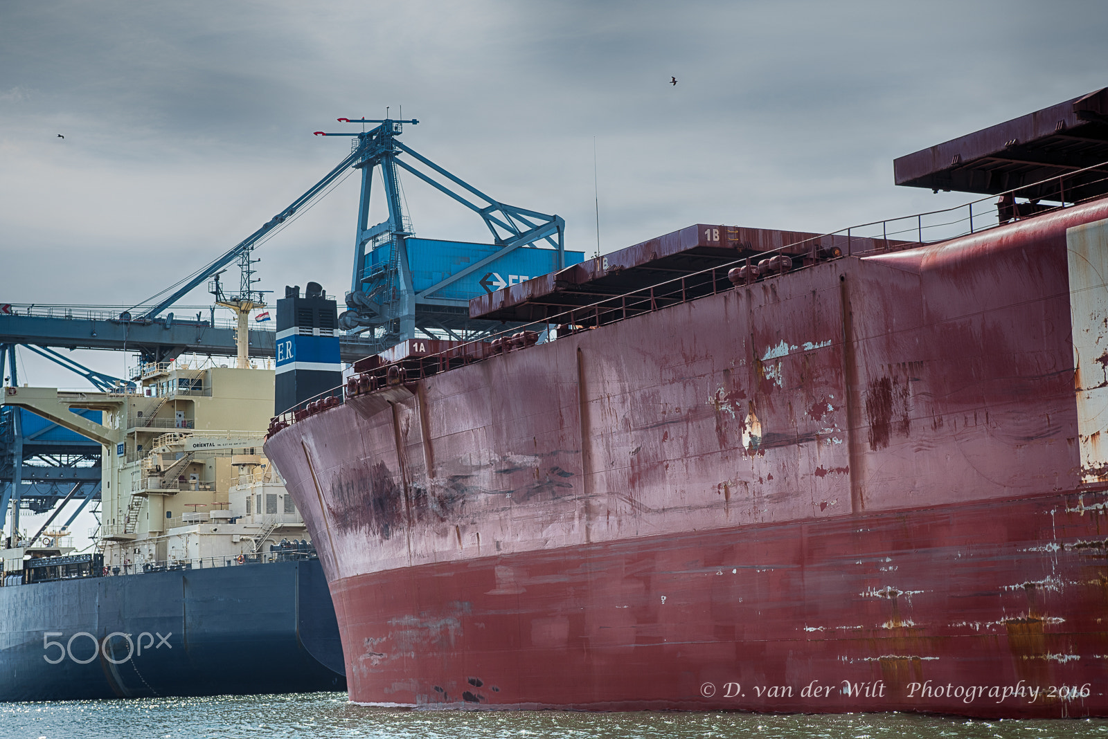 Nikon AF-S Nikkor 28-70mm F2.8 ED-IF sample photo. Rotterdamse haven safari 1 photography