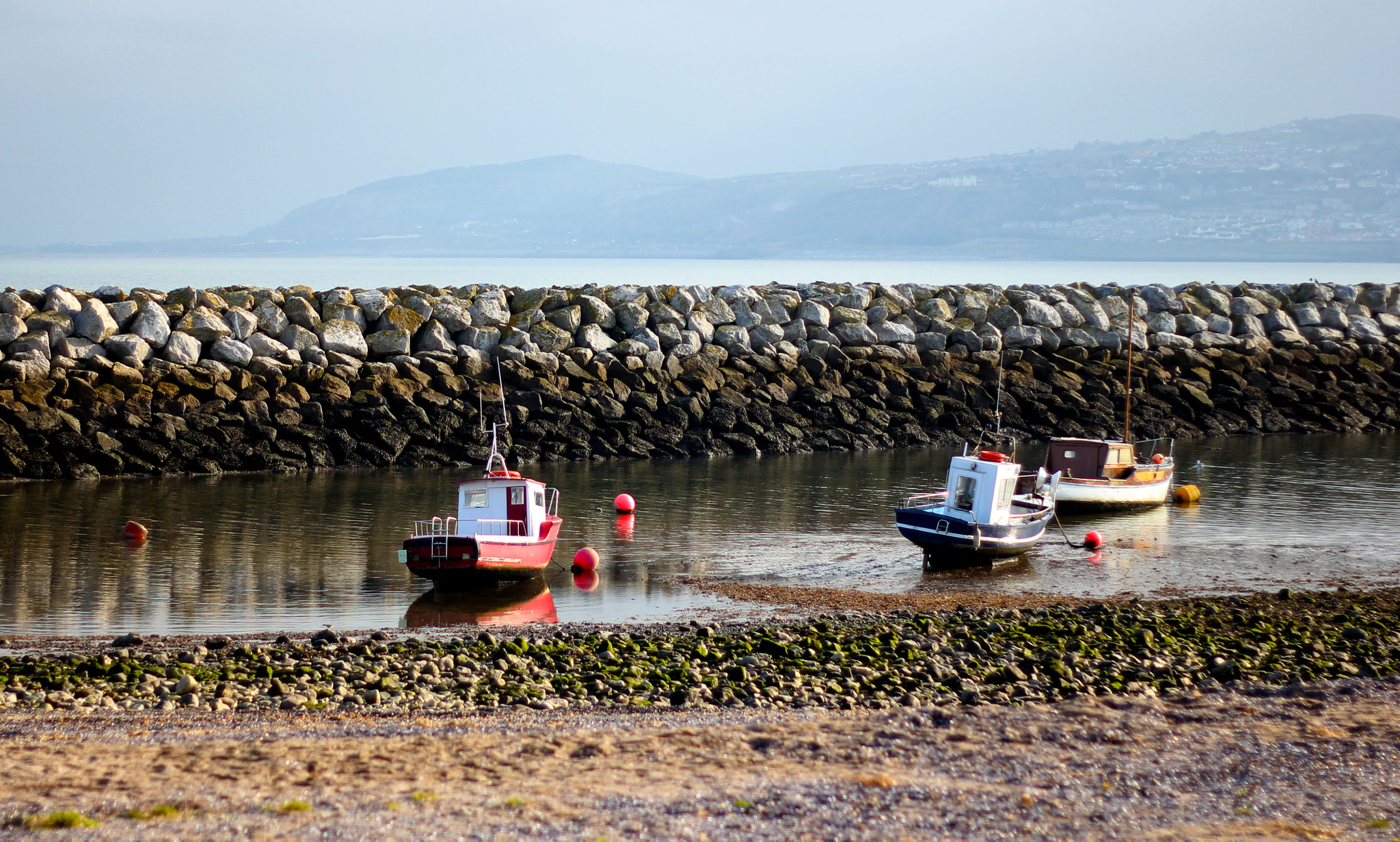 Canon EOS 550D (EOS Rebel T2i / EOS Kiss X4) + Canon EF 50mm f/1.8 sample photo. Tranquil fishing scene photography