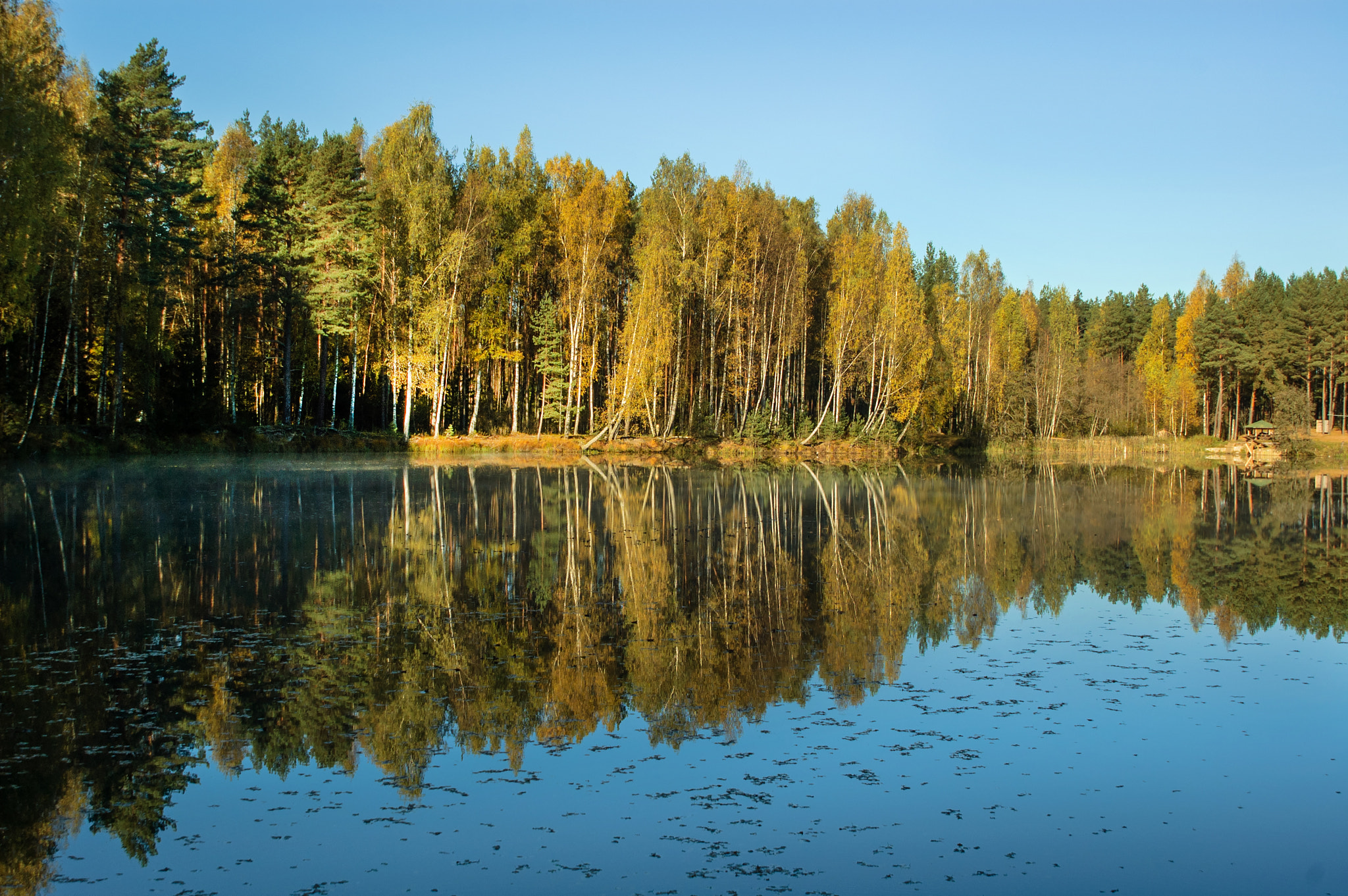 Nikon D70s + Sigma 28-105mm F2.8-4 Aspherical sample photo. Forestry mirror photography