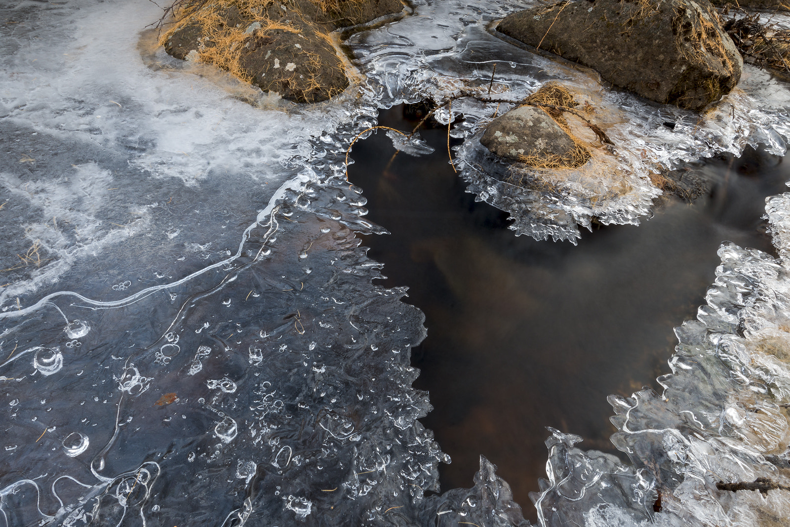 Nikon AF-S Nikkor 14-24mm F2.8G ED sample photo. Freezing mountain forest river photography
